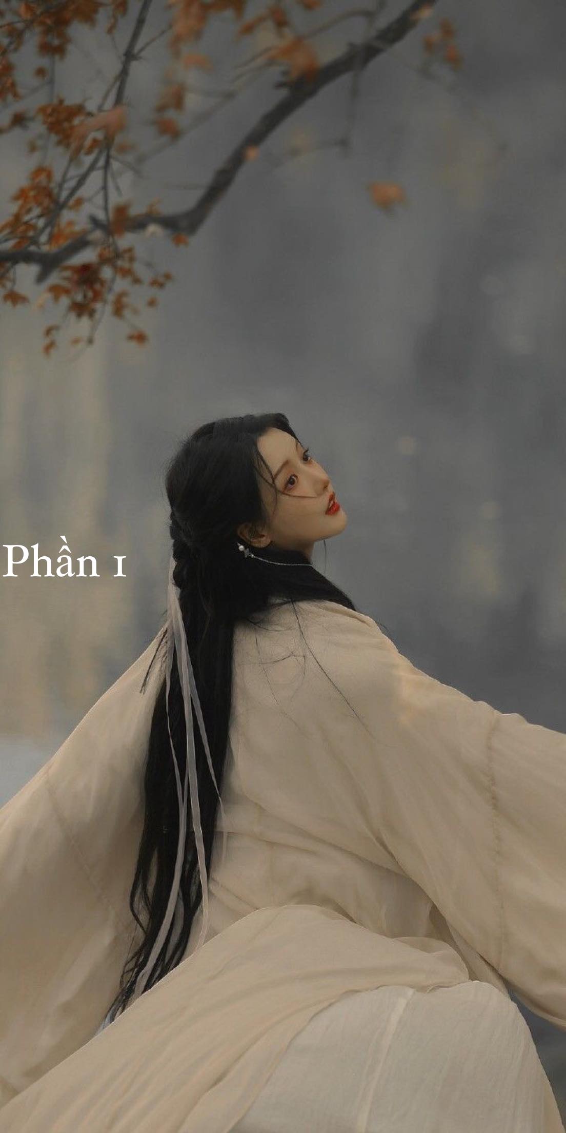 Chương 4: Không Tìm Thấy Nàng