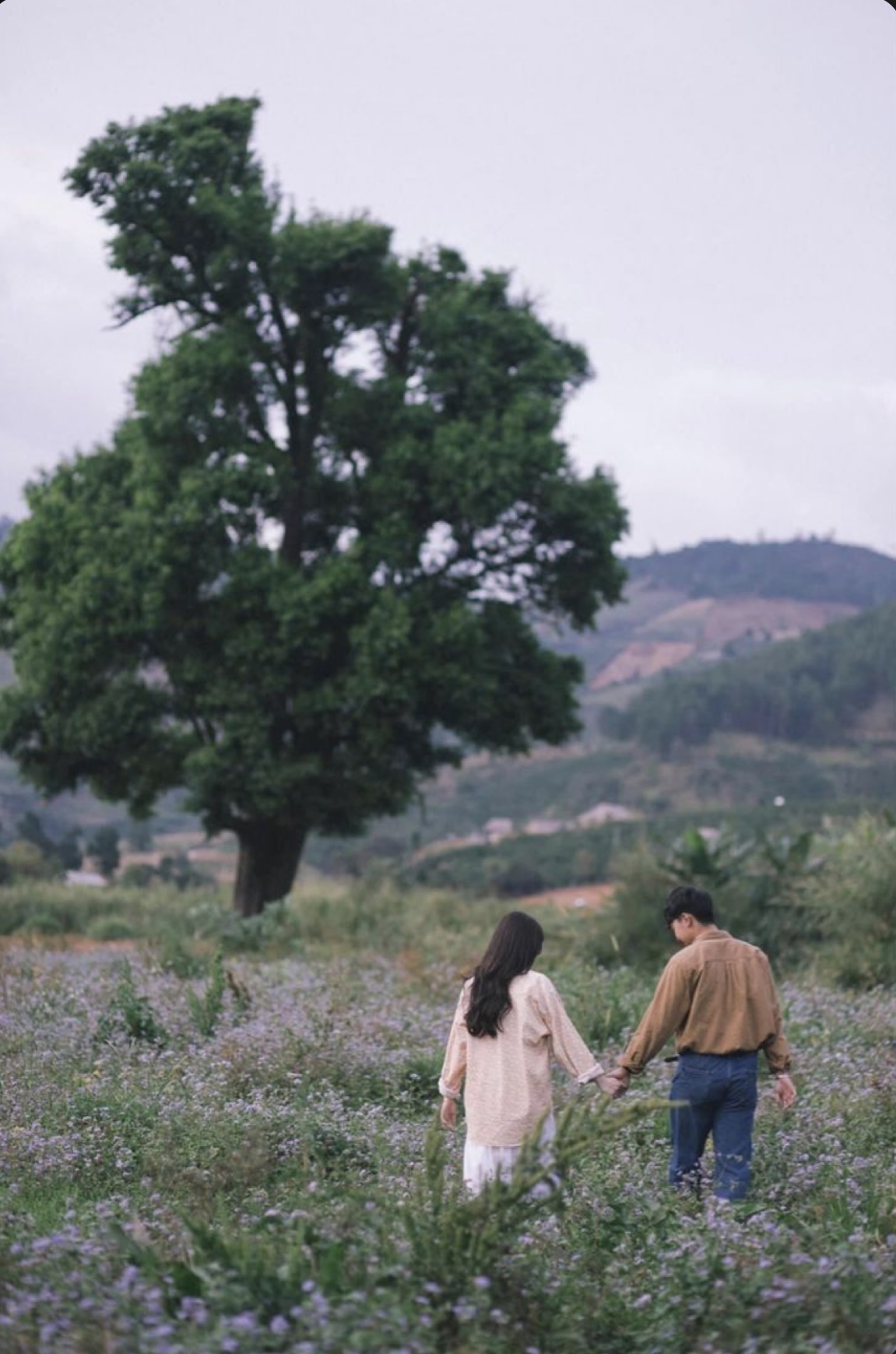 MỘT MÌNH HƯỚNG TỚI TỰ DO