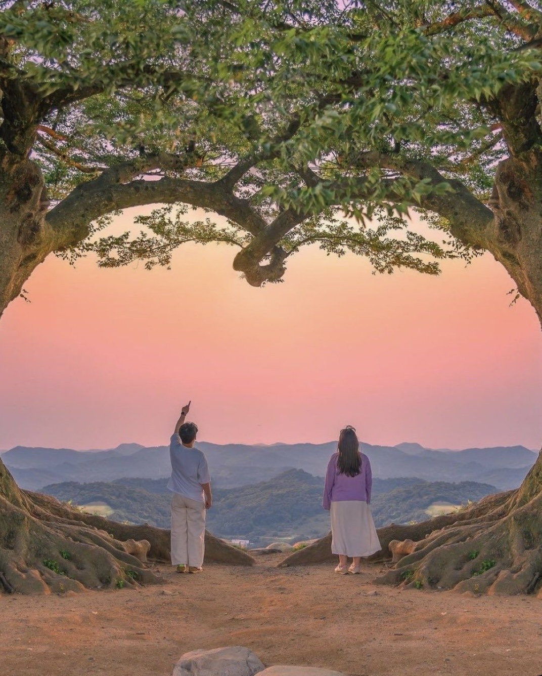 TÔI QUÊN ANH RỒI