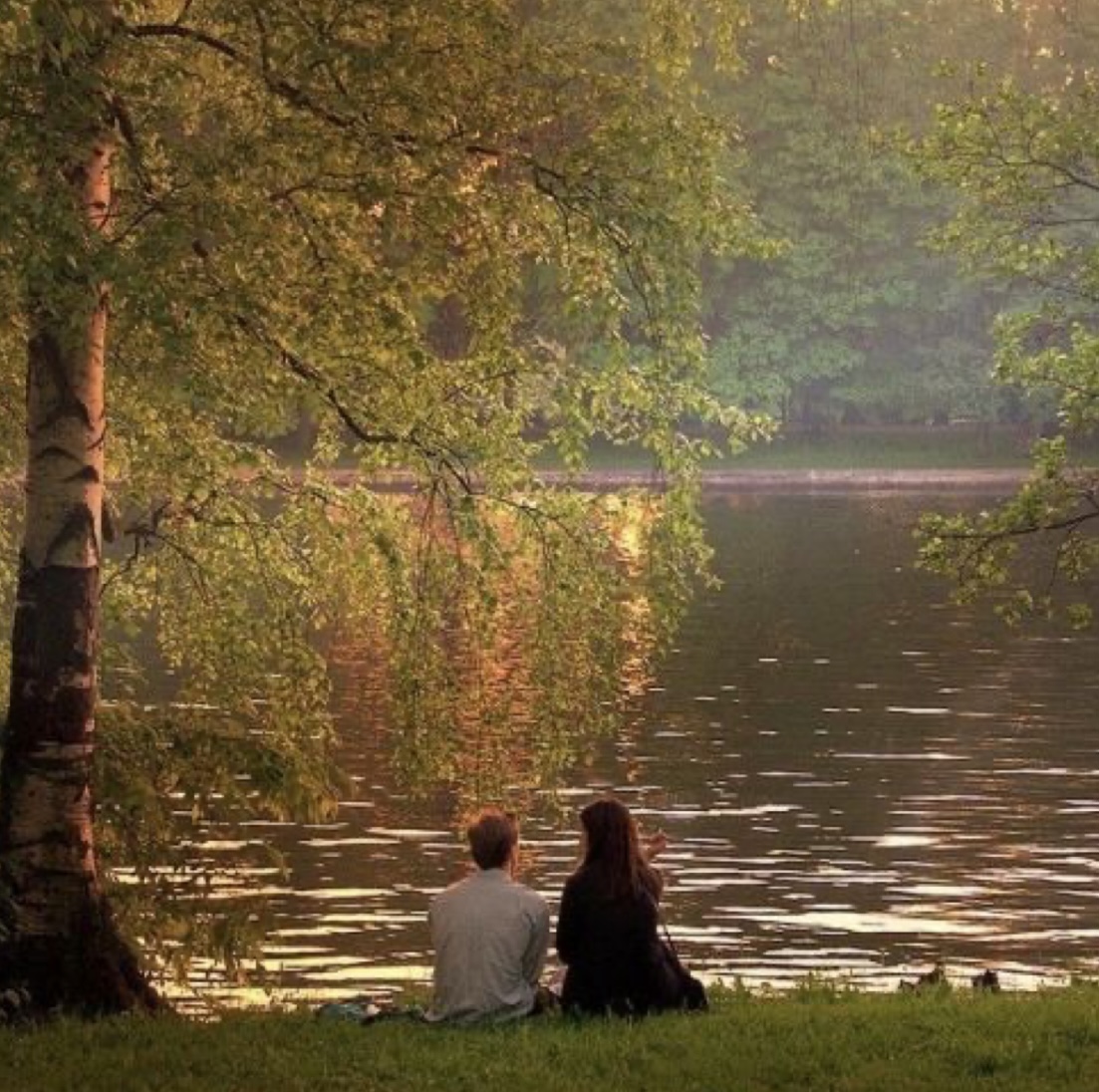 NGƯỜI TÌNH CỦA CHỒNG TÔI TRỞ VỀ