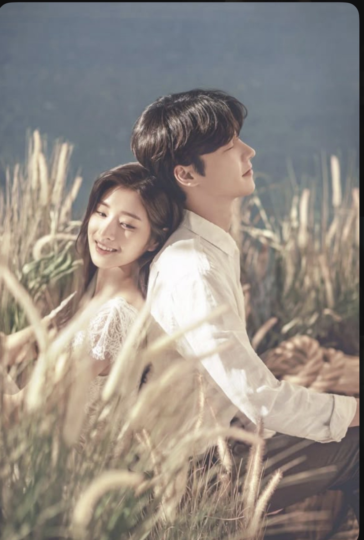 THANH XUÂN TÌNH YÊU