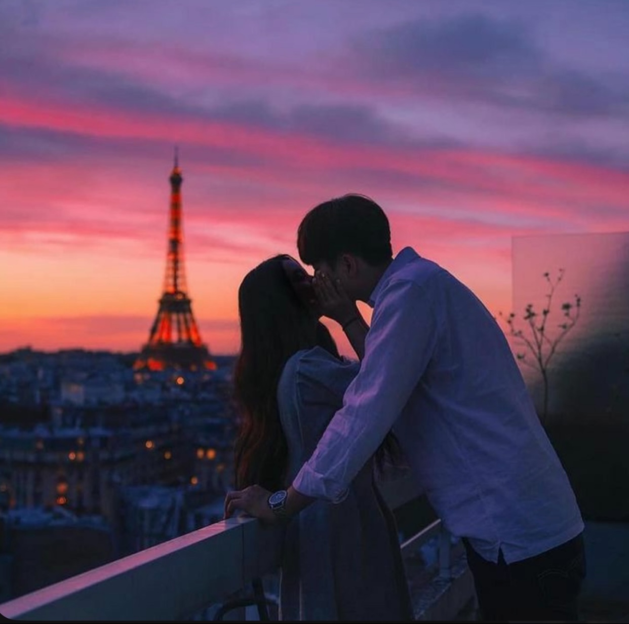 ĐOÁ MẪU ĐƠN TRẮNG