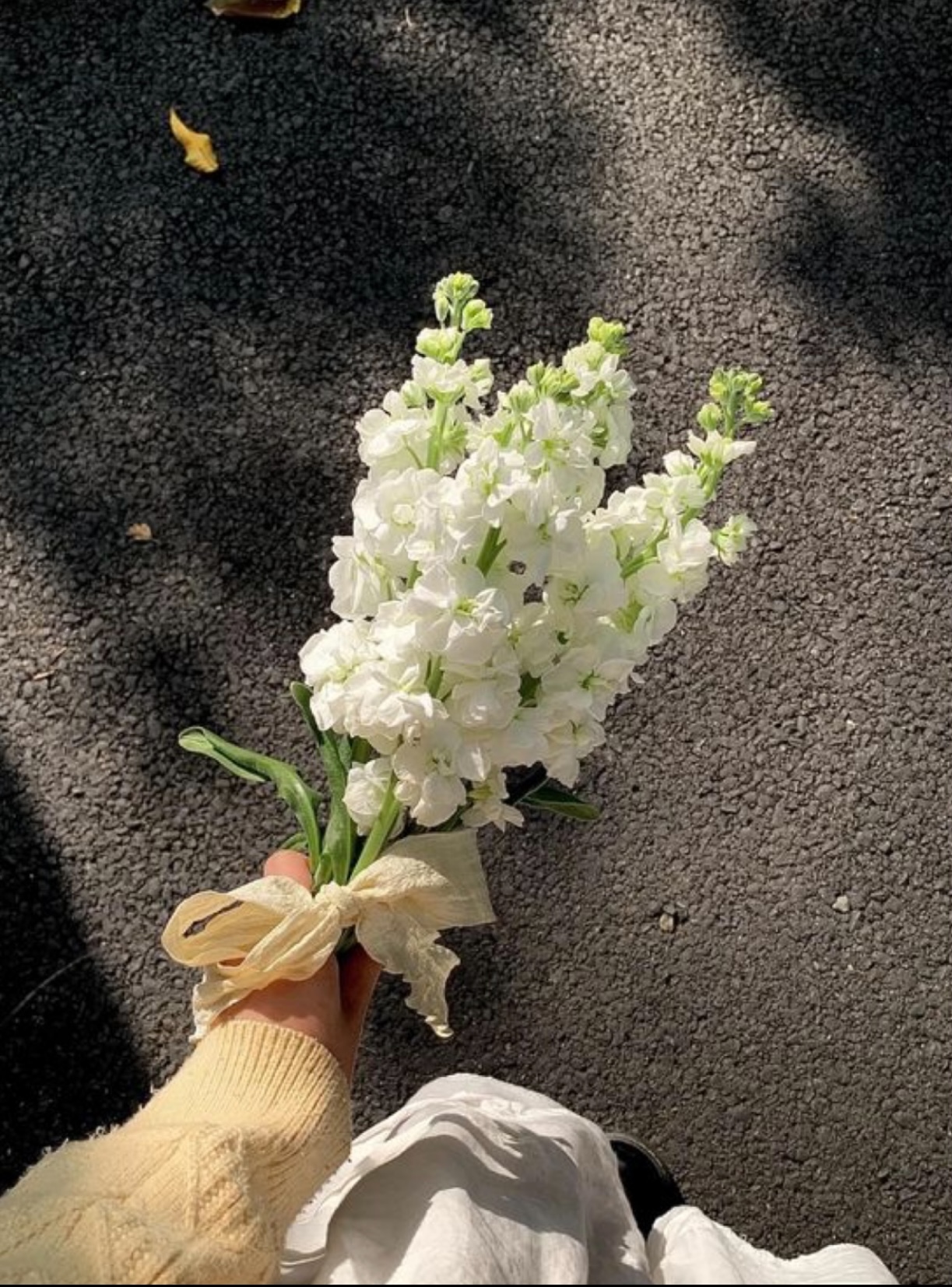 NHÂN QUẢ LUÔN HỒI