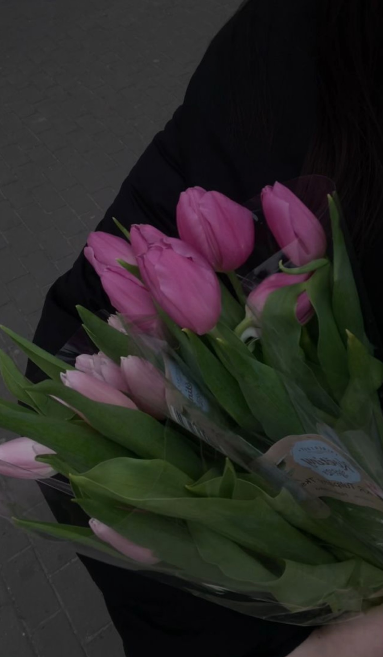 HỢP ĐỒNG HÔN NHÂN VỚI GIANG MINH