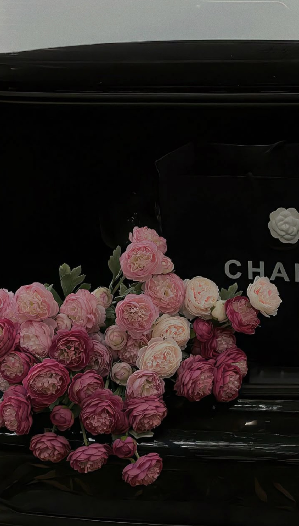 NGỦ DẬY TÌNH YÊU TỚI