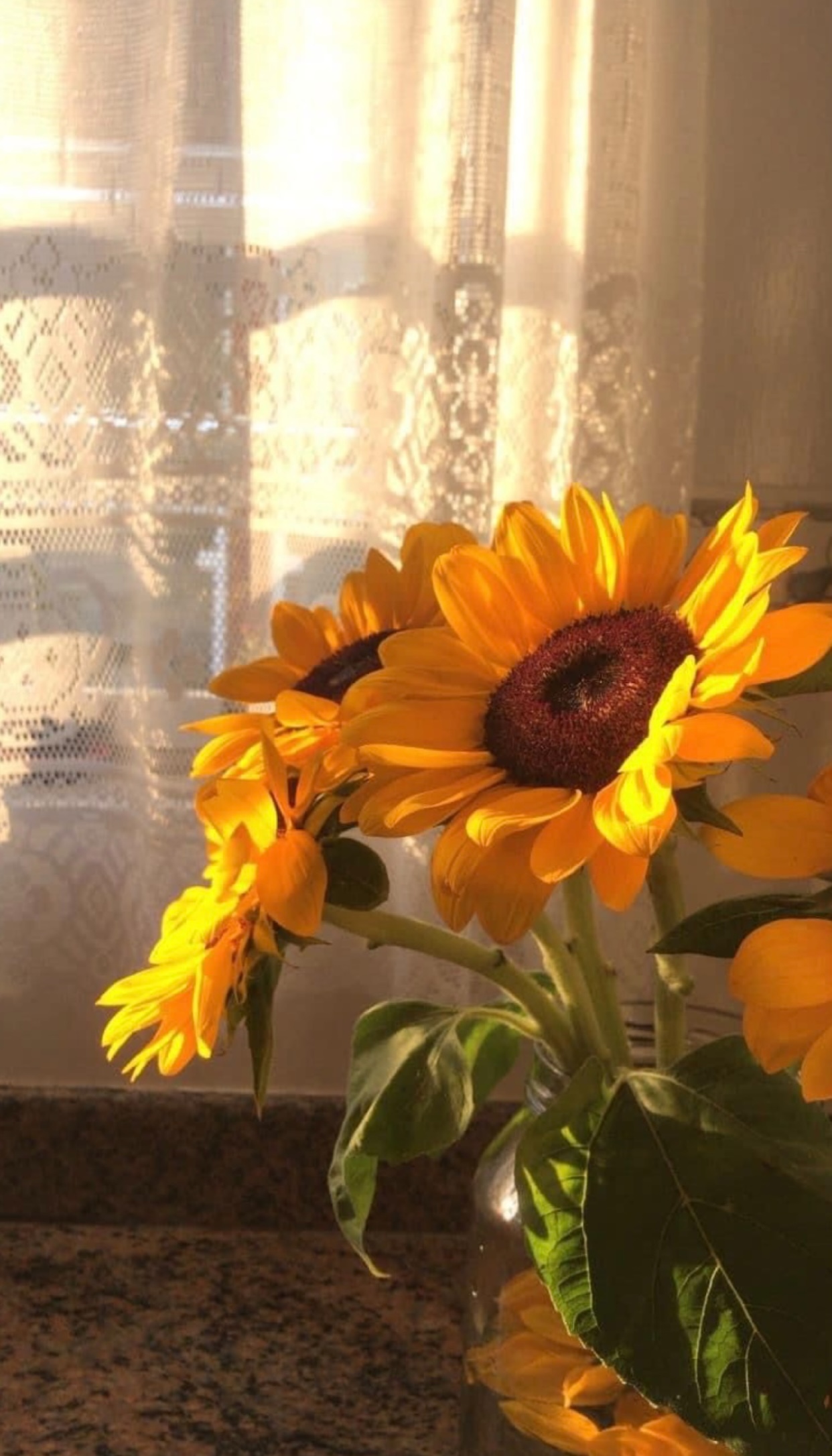 NHỮNG NĂM THÁNG VỘI VÃ FUll