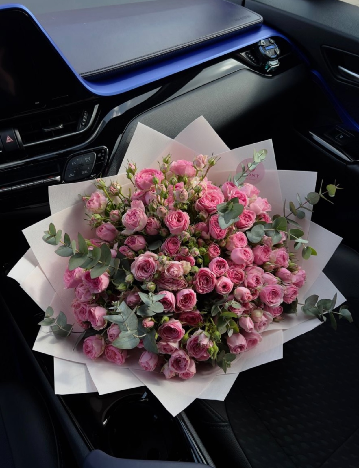 CUỐI CÙNG ANH CŨNG TÌM THẤY EM