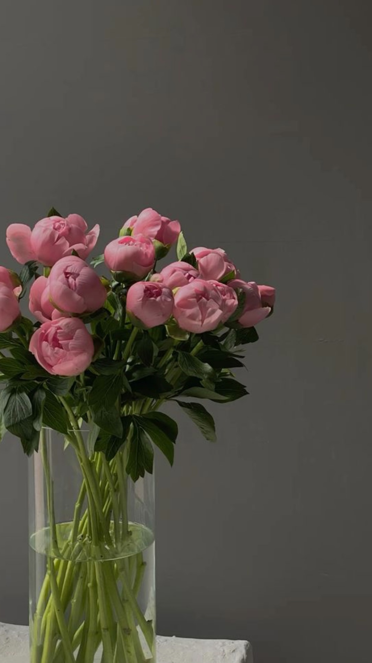 ANH ƠI EM KHÔNG CƯỚI NỮA