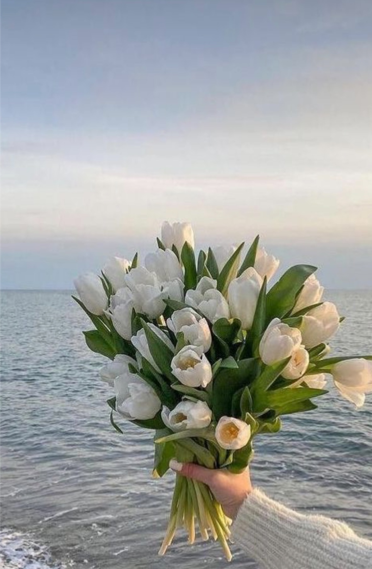 CHUYẾN BAY RẮN ĐỘC