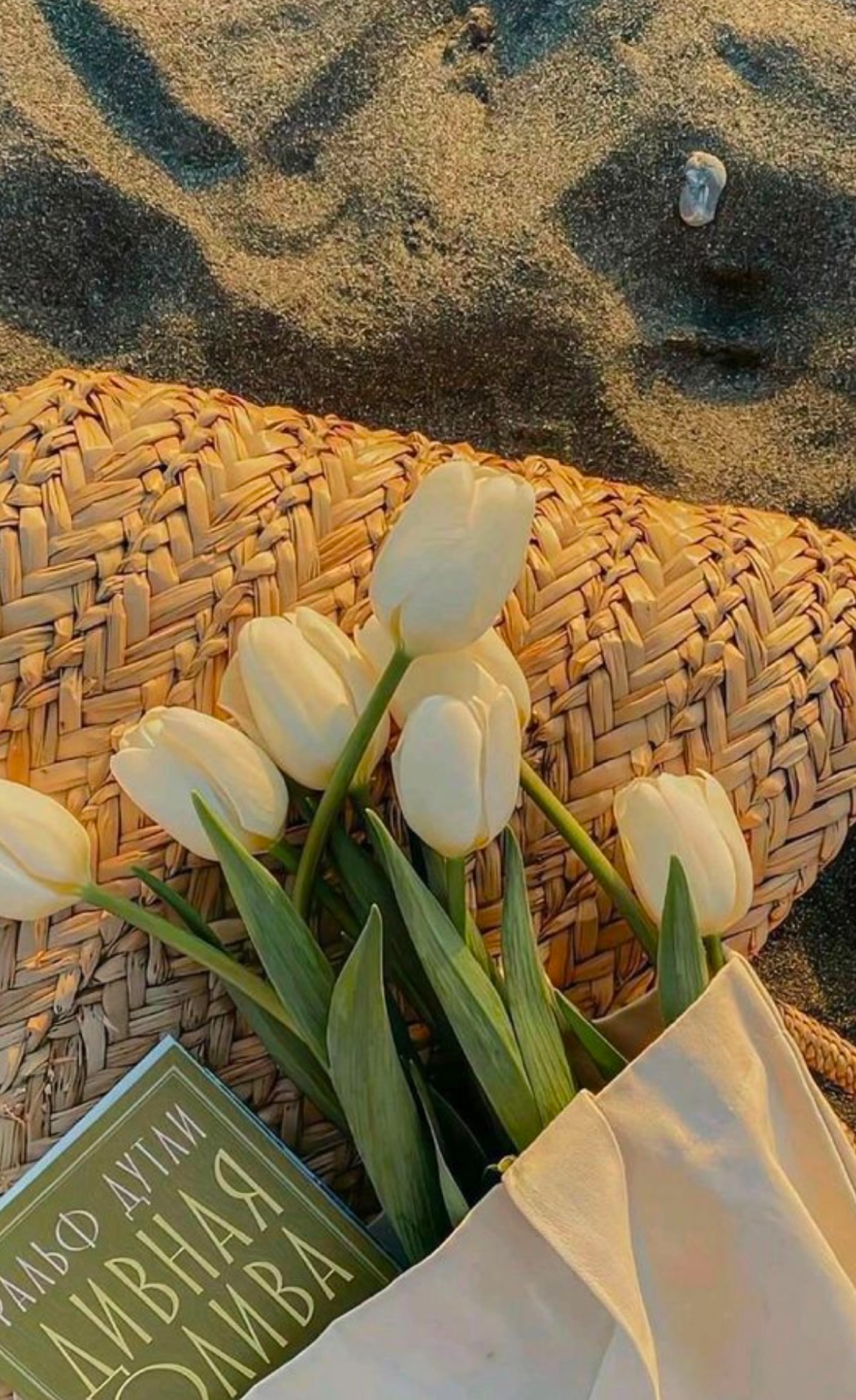 CÔ NÀNG LỤC NHAN