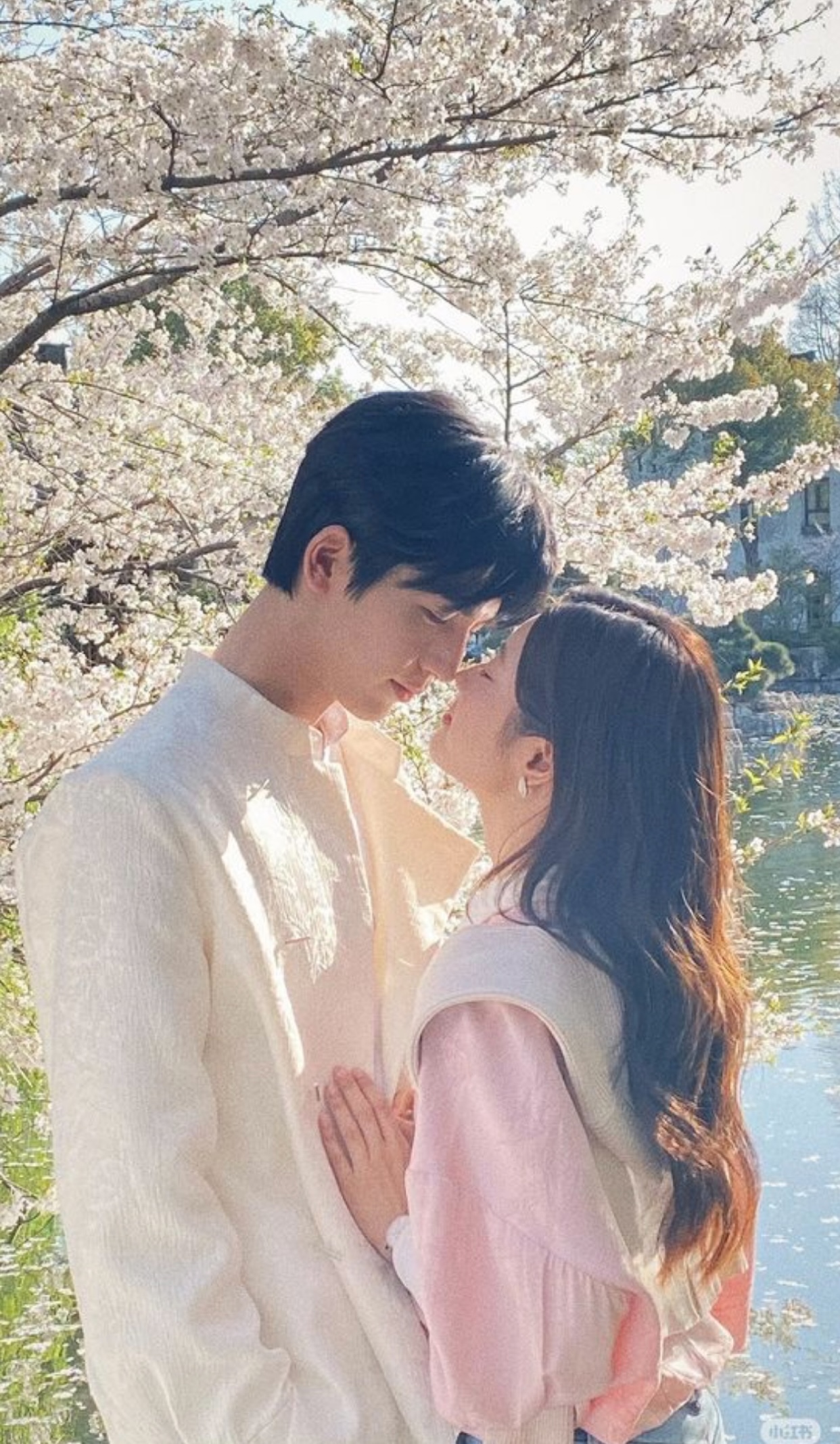 HẠNH PHÚC TRỌN VẸN