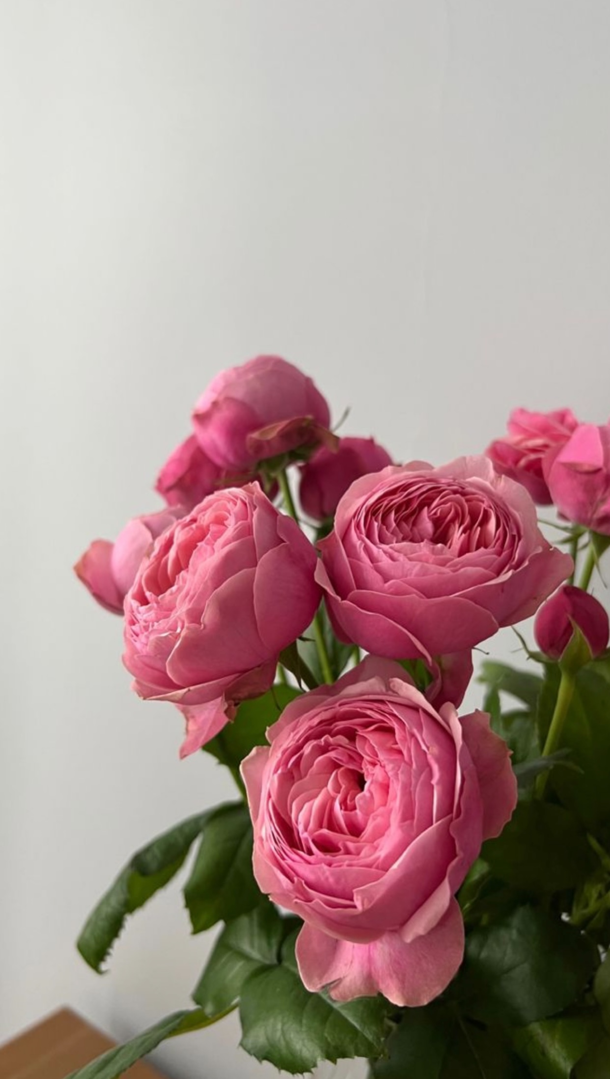 5 NĂM THẦM THƯƠNG TRỘM NHỚ EM