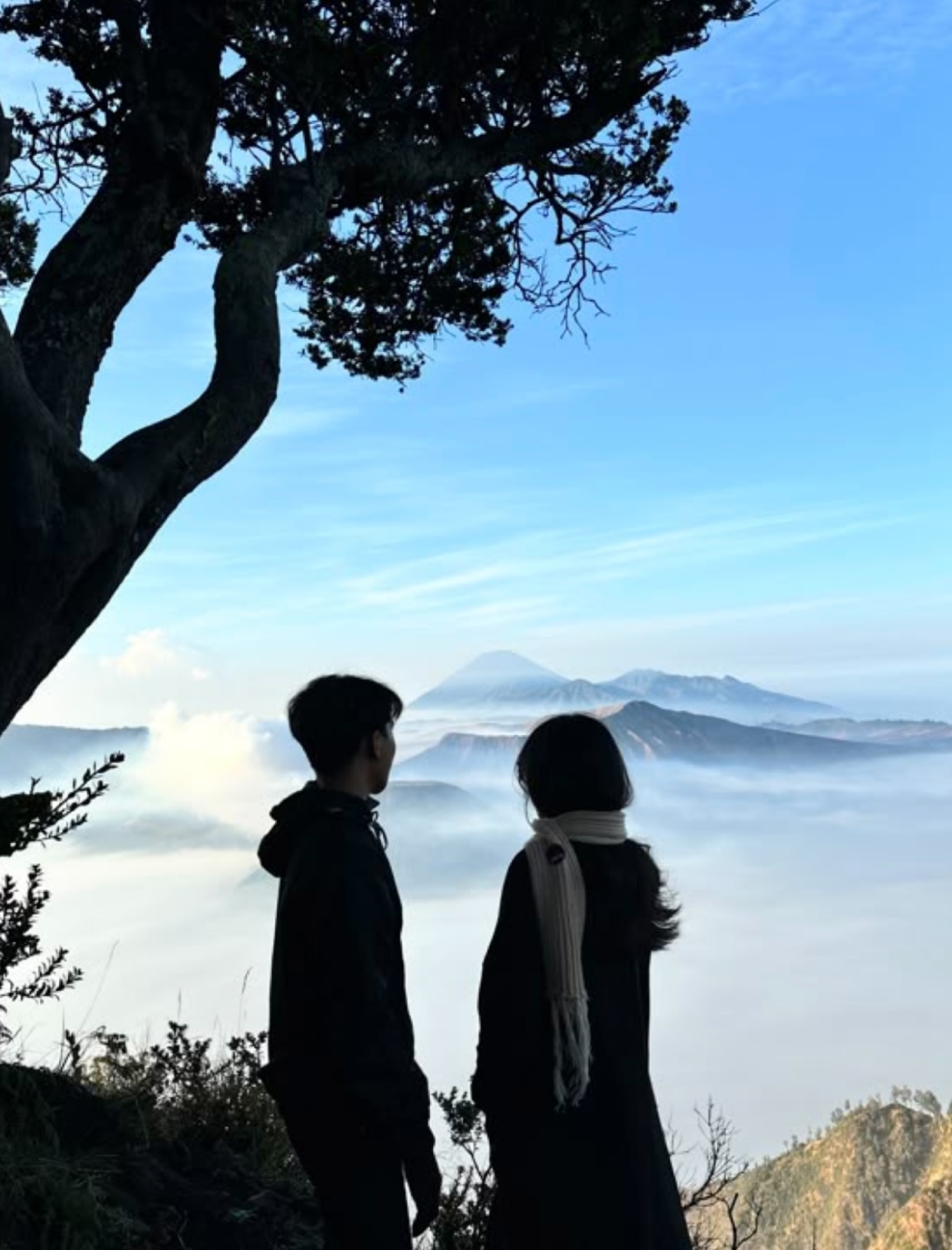 MƯỜI NĂM TÌNH CẢM HOÁ HƯ VÔ