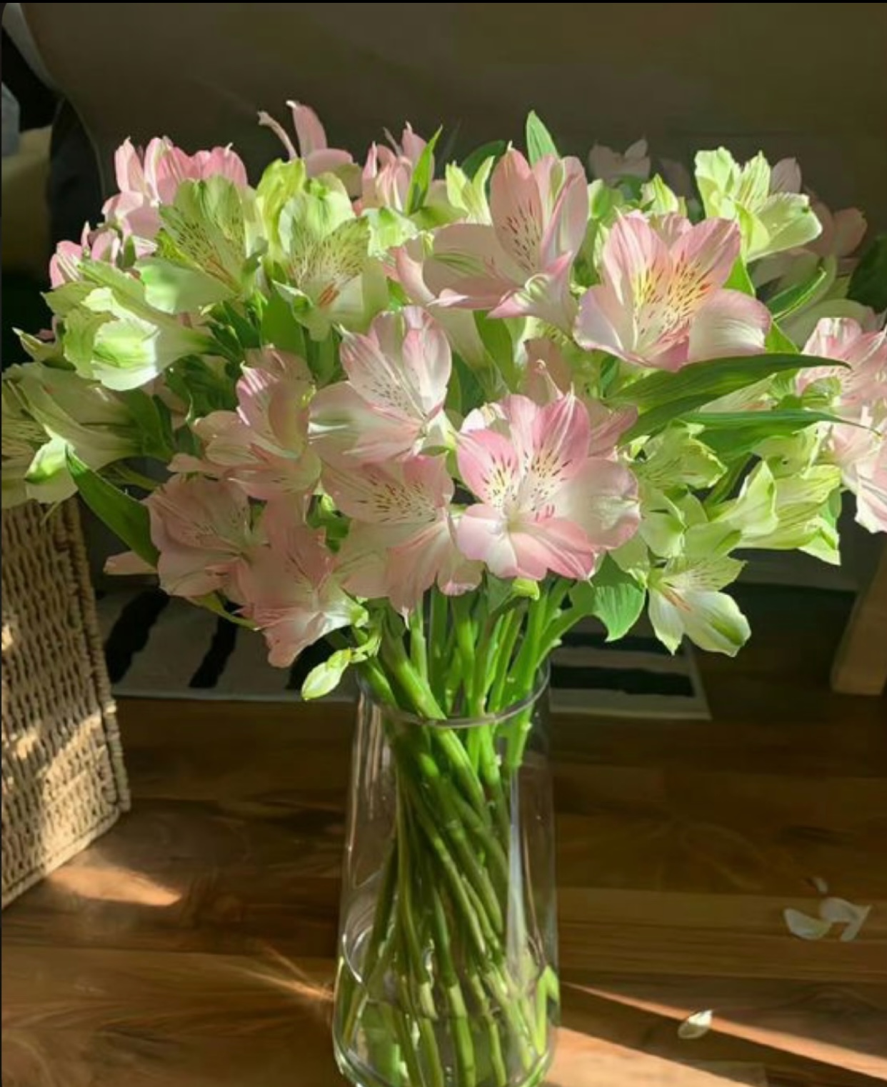 CHỈ MUỐN GẶP EM MỘT LẦN