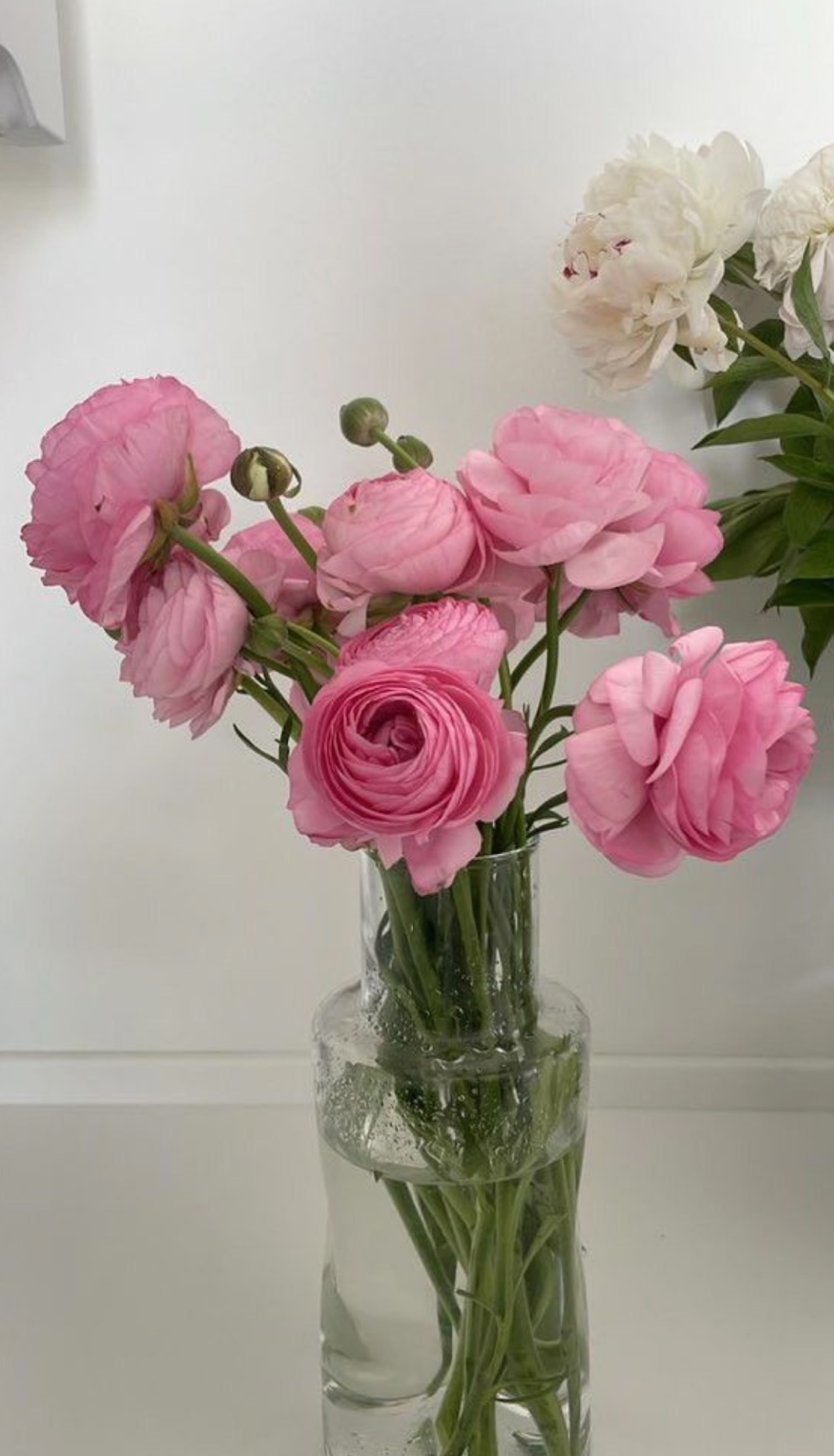 NẮM TAY ANH ĐẾN CUỐI CUỘC ĐỜI FULL