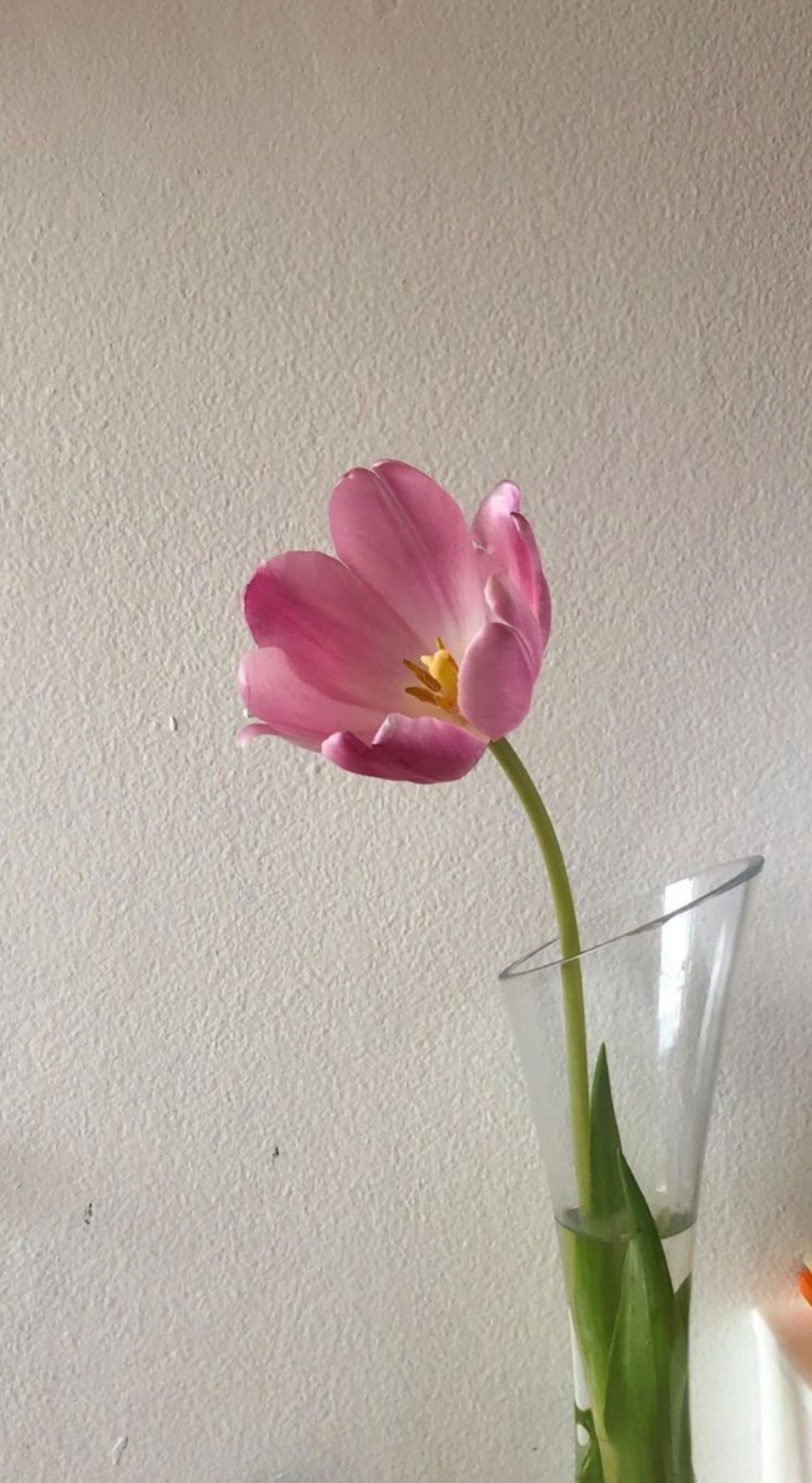 VÌ ANH XỨNG ĐÁNG