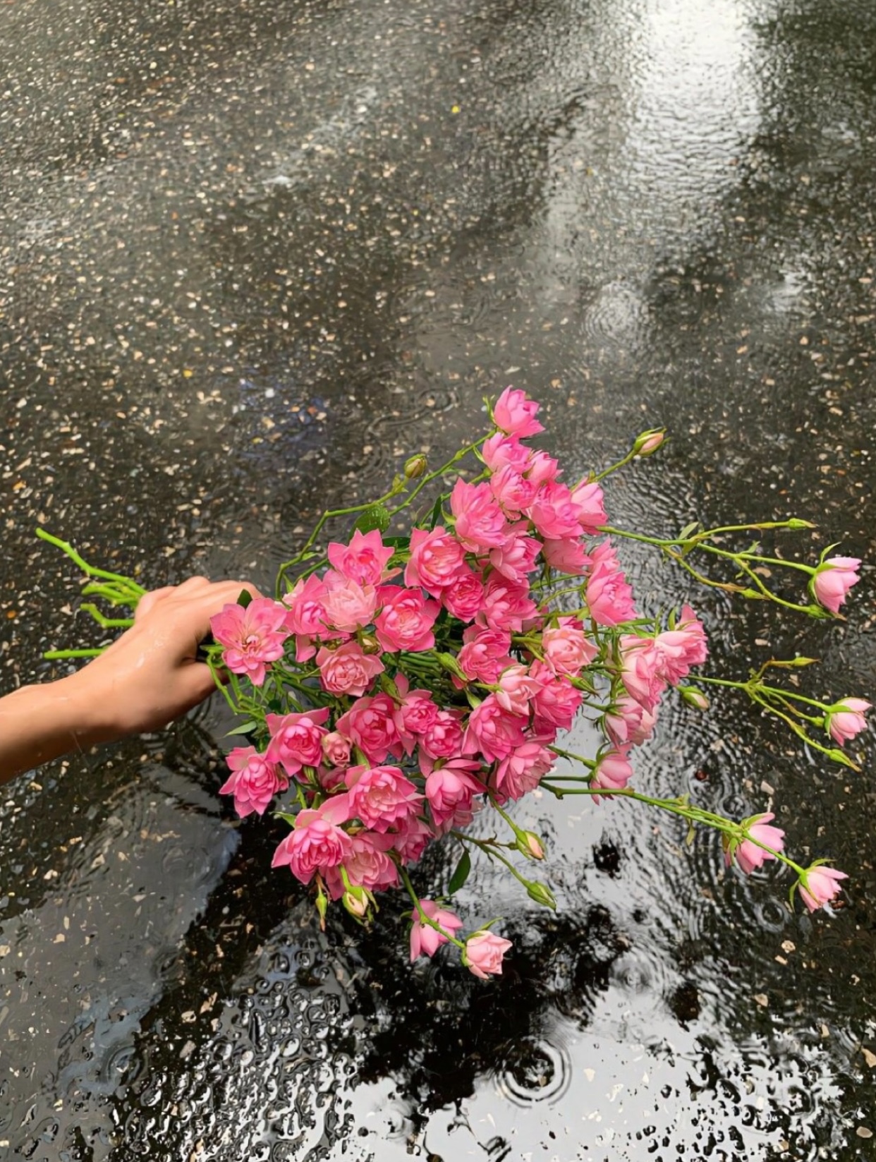 NHẶT MỘT ANH MỊ MA VỀ NUÔI