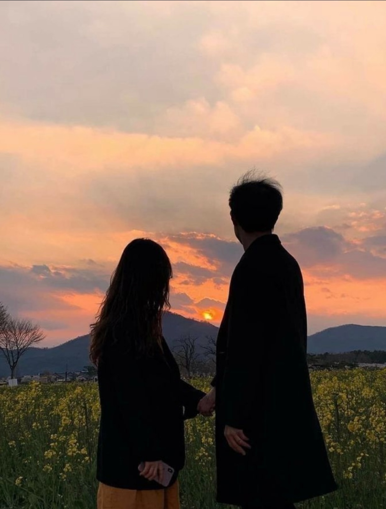 HOÁ RA ANH CHƯA BAO GIỜ THƯƠNG TÔI THẬT LÒNG