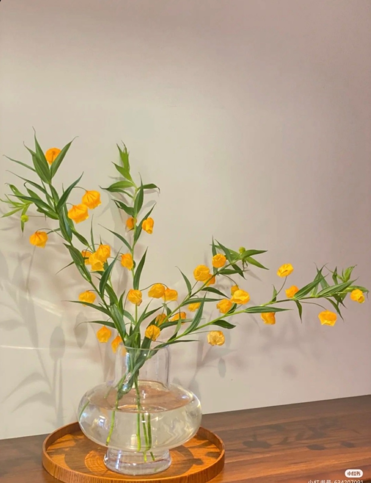 CUỘC ĐỜI CỦA UYÊN UYÊN