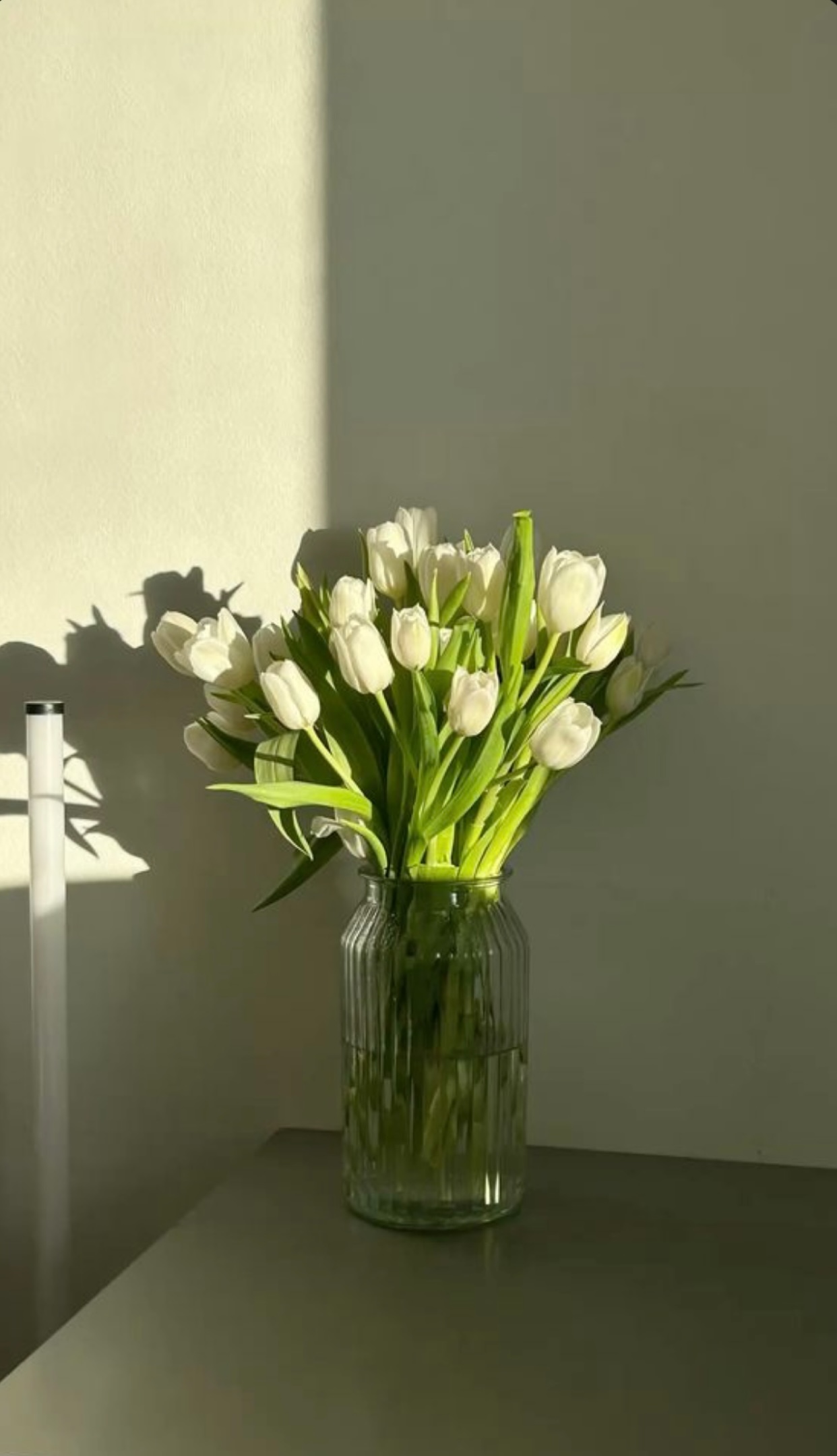 TÔI CHỈ LÀ ĐỒ THẾ THÂN