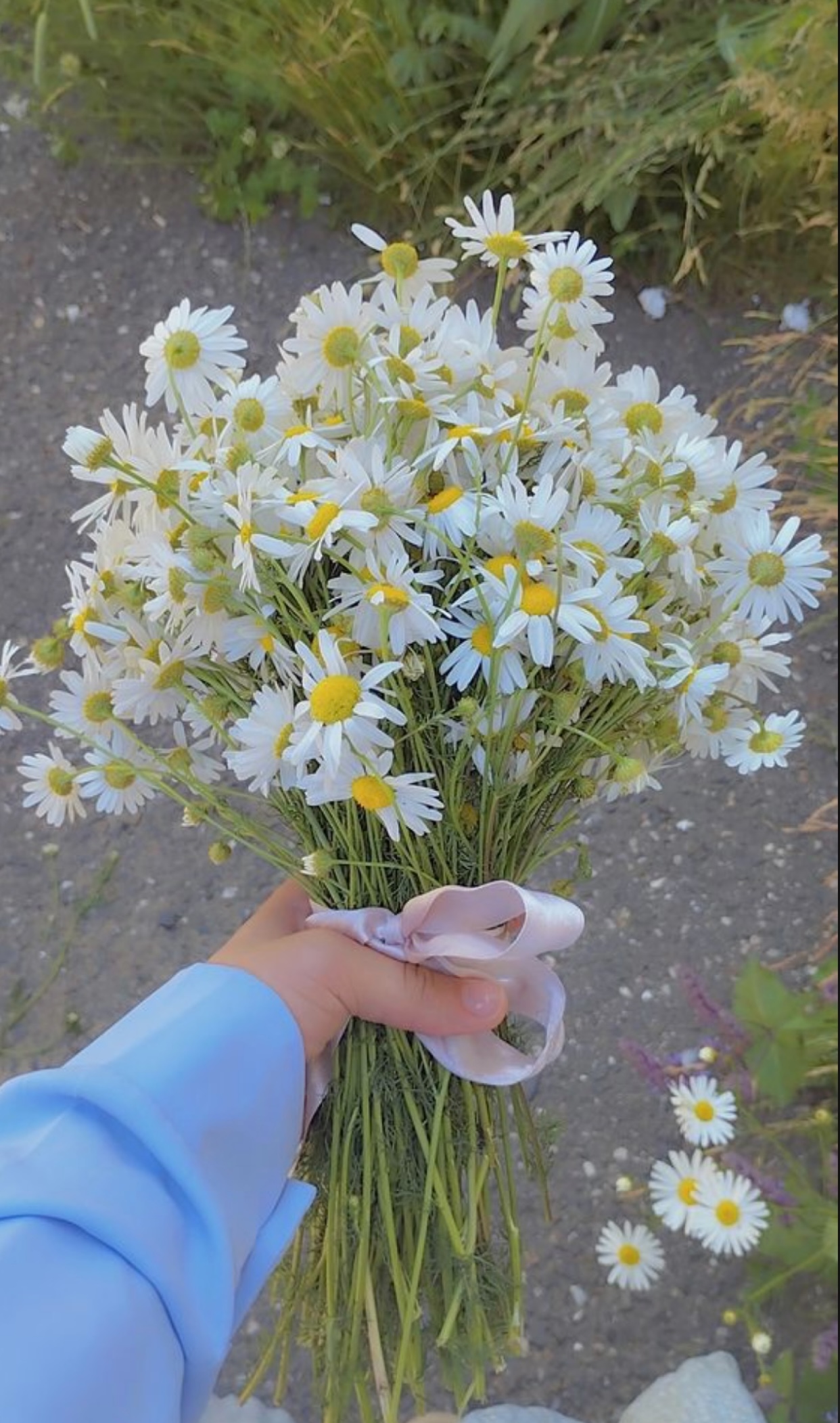 GIẢ VỜ BUÔNG BỎ ĐỂ DẪN DỤ