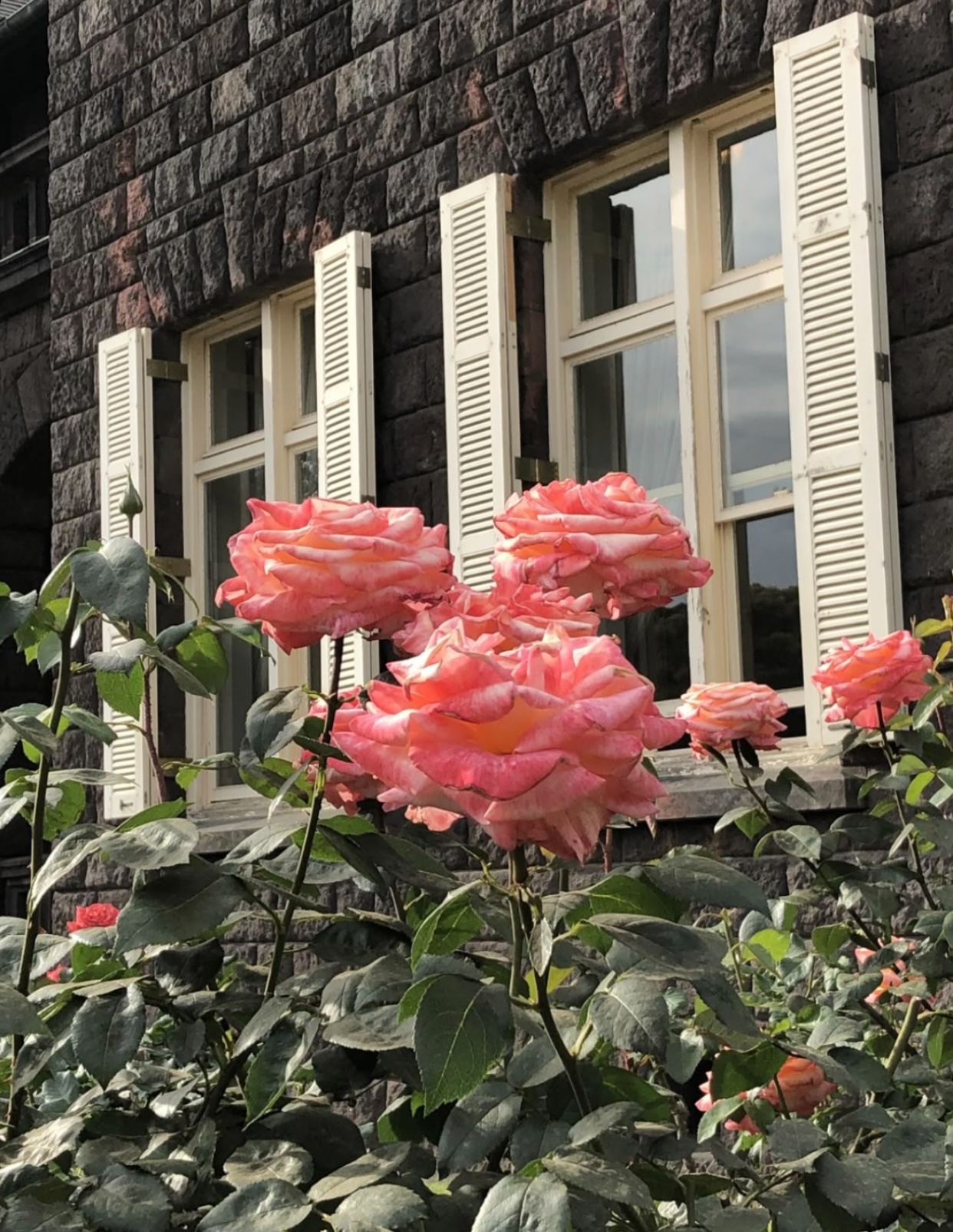 MỐI QUAN HỆ MỞ