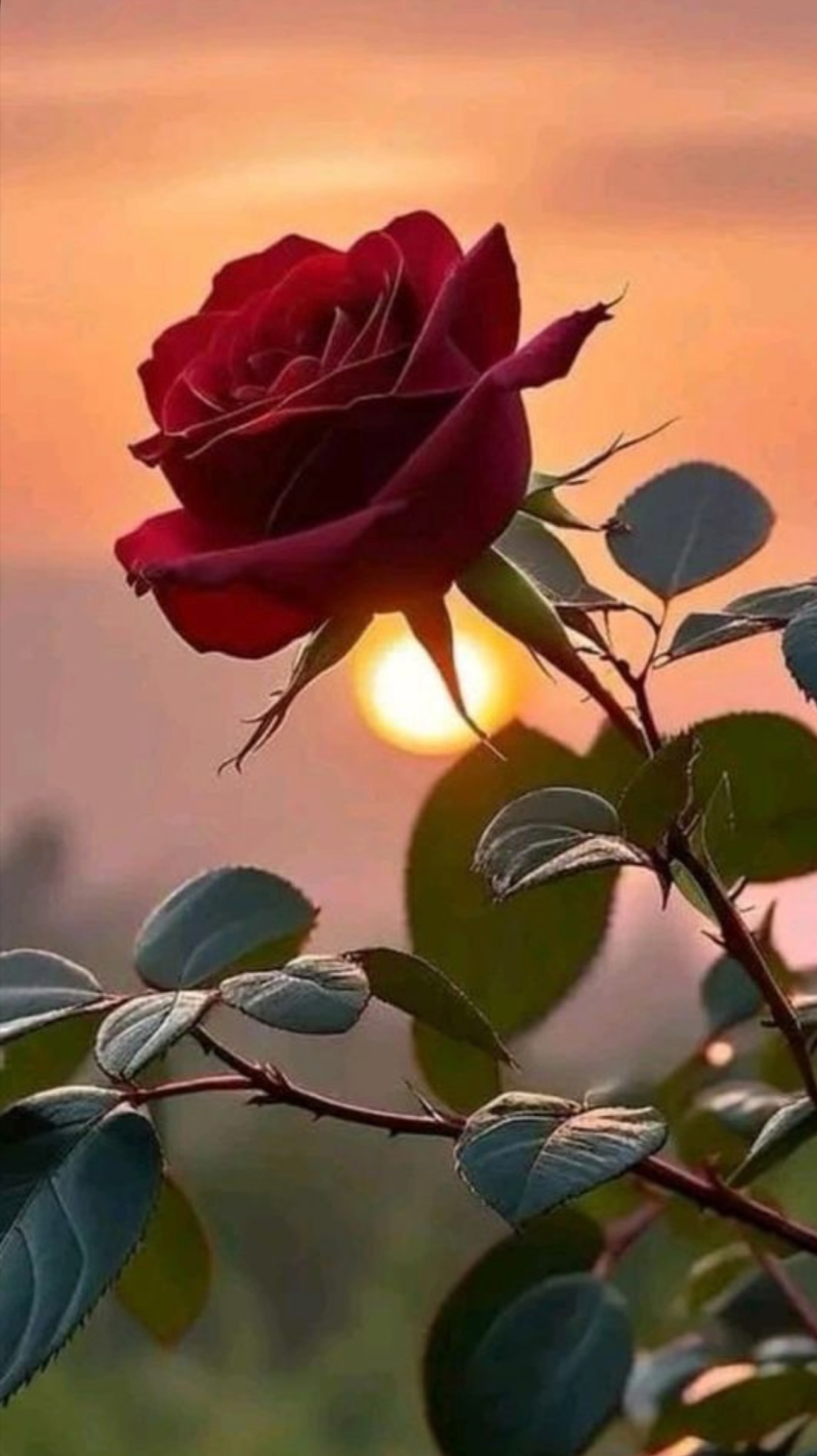 EM TRẢ LẠI ANH CHO CÔ ẤY