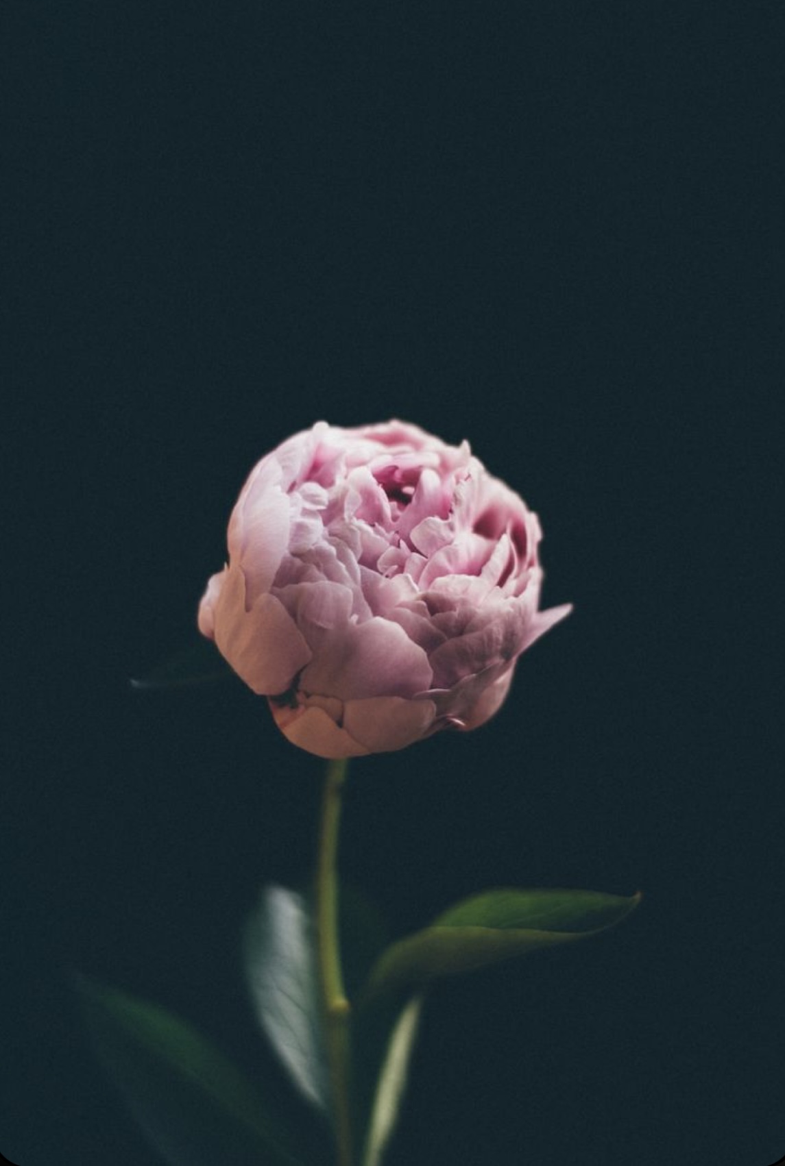 TÌNH CẢM VẤN VƯƠNG