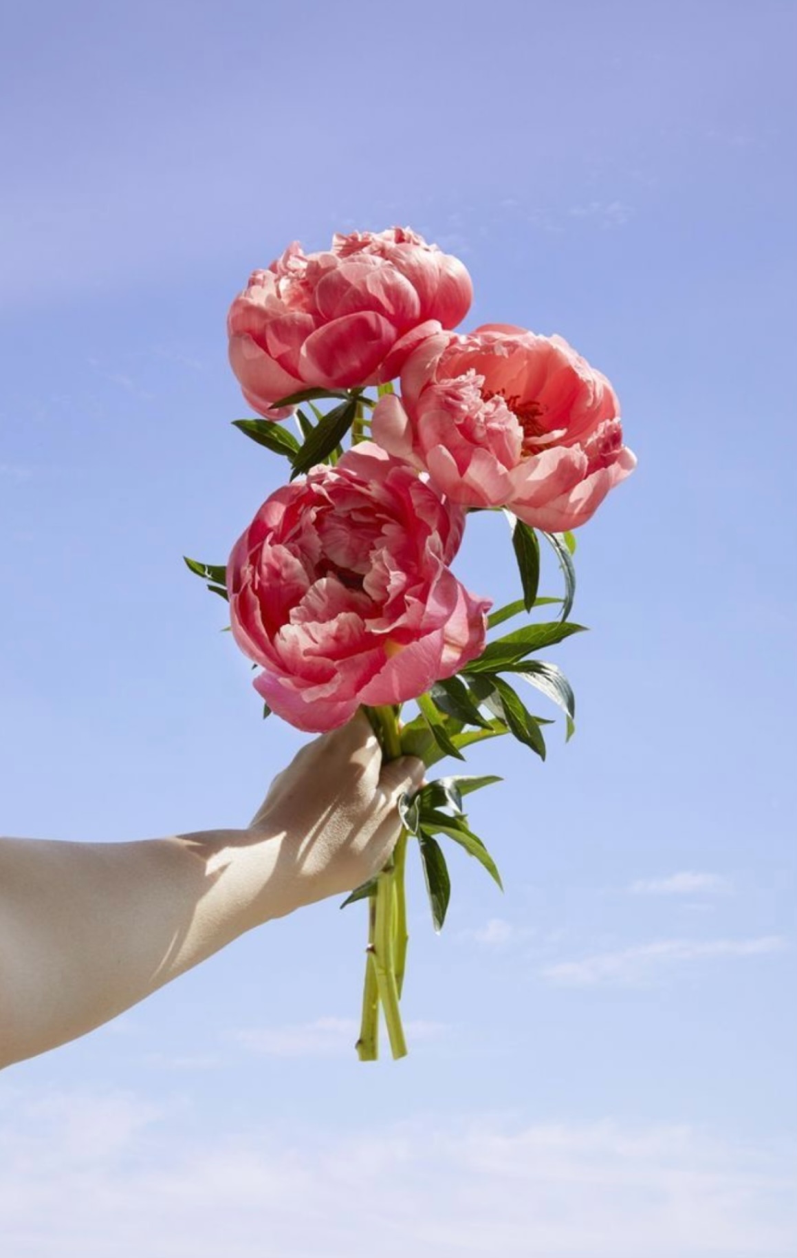 TÌNH YÊU ĐONG ĐẦY