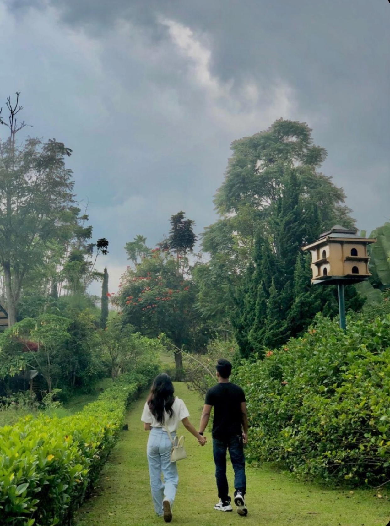 TRẢ LẠI TỰ DO CHO ANH