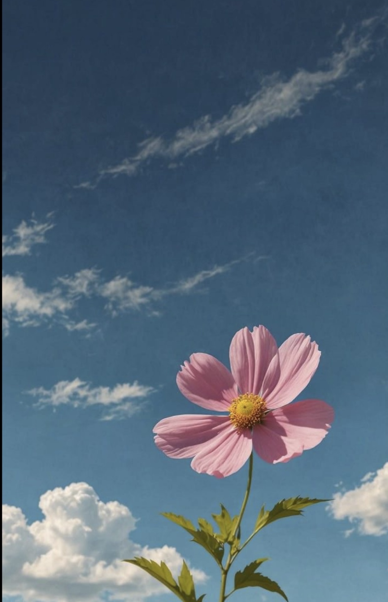 NẾU CÓ KIẾP SAU, ANH KHÔNG MUỐN LÀM ANH TRAI CỦA EM NỮA