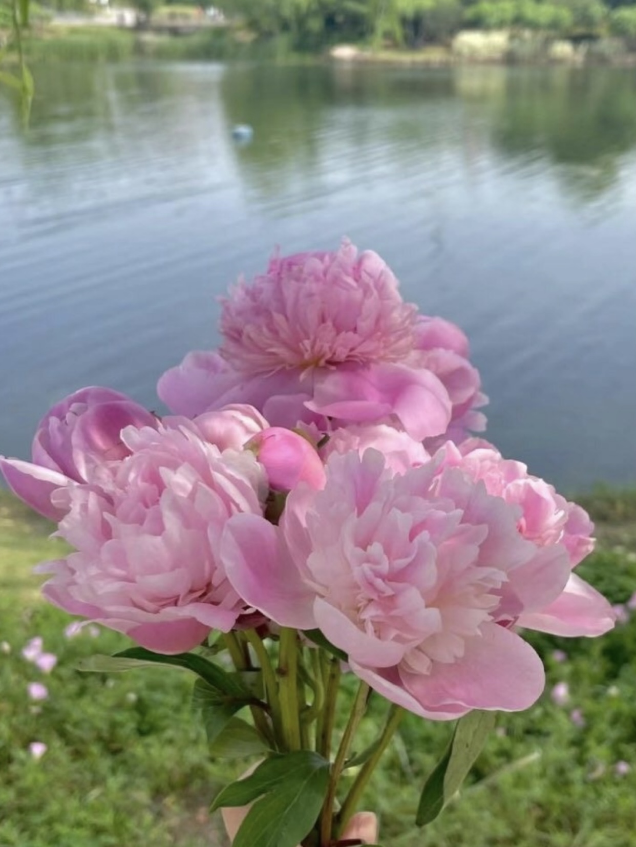 BẤT NGỜ NHẬN ĐƯỢC KHOẢN THỪA KẾ