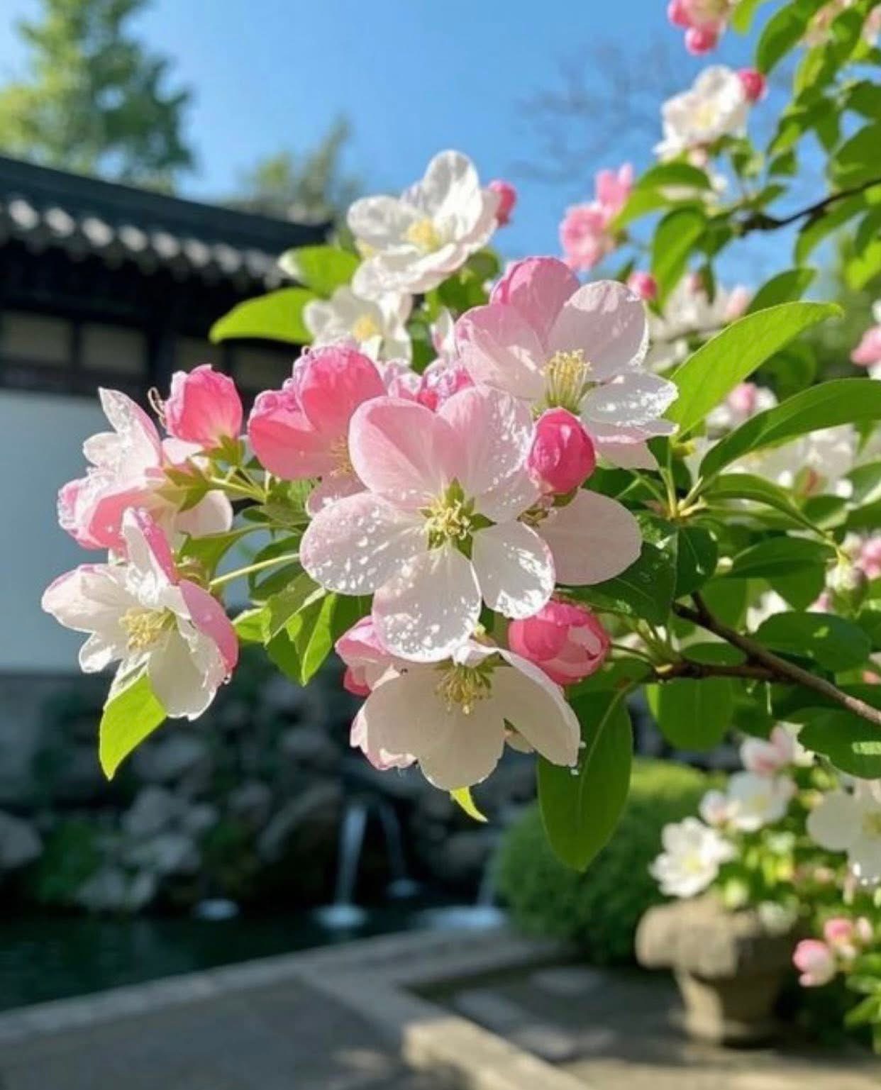 NGÀY TA ĐƯỢC BAN HÔN