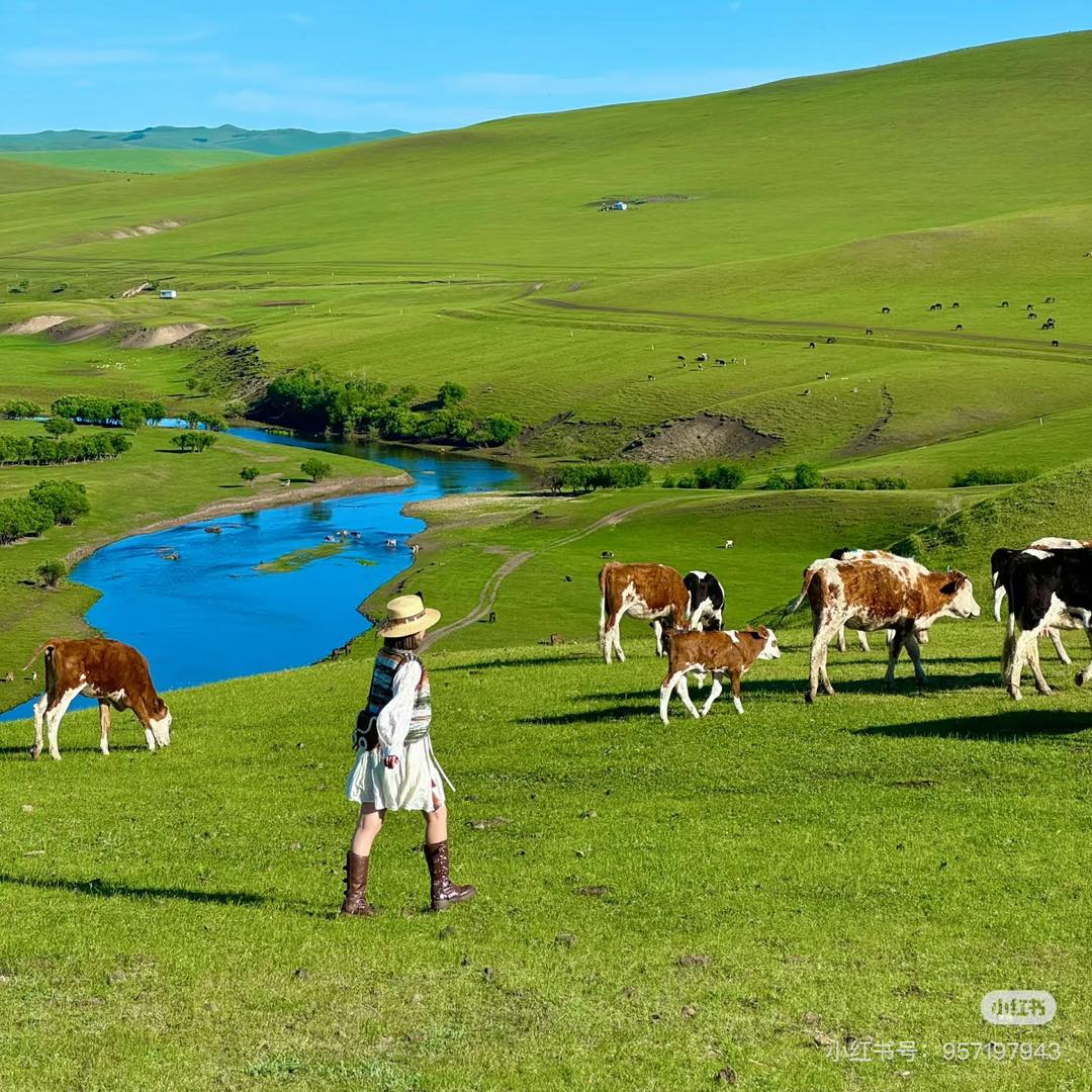 ĐÊM ĐẦU TIÊN ĐƯỢC ĐẤU GIÁ