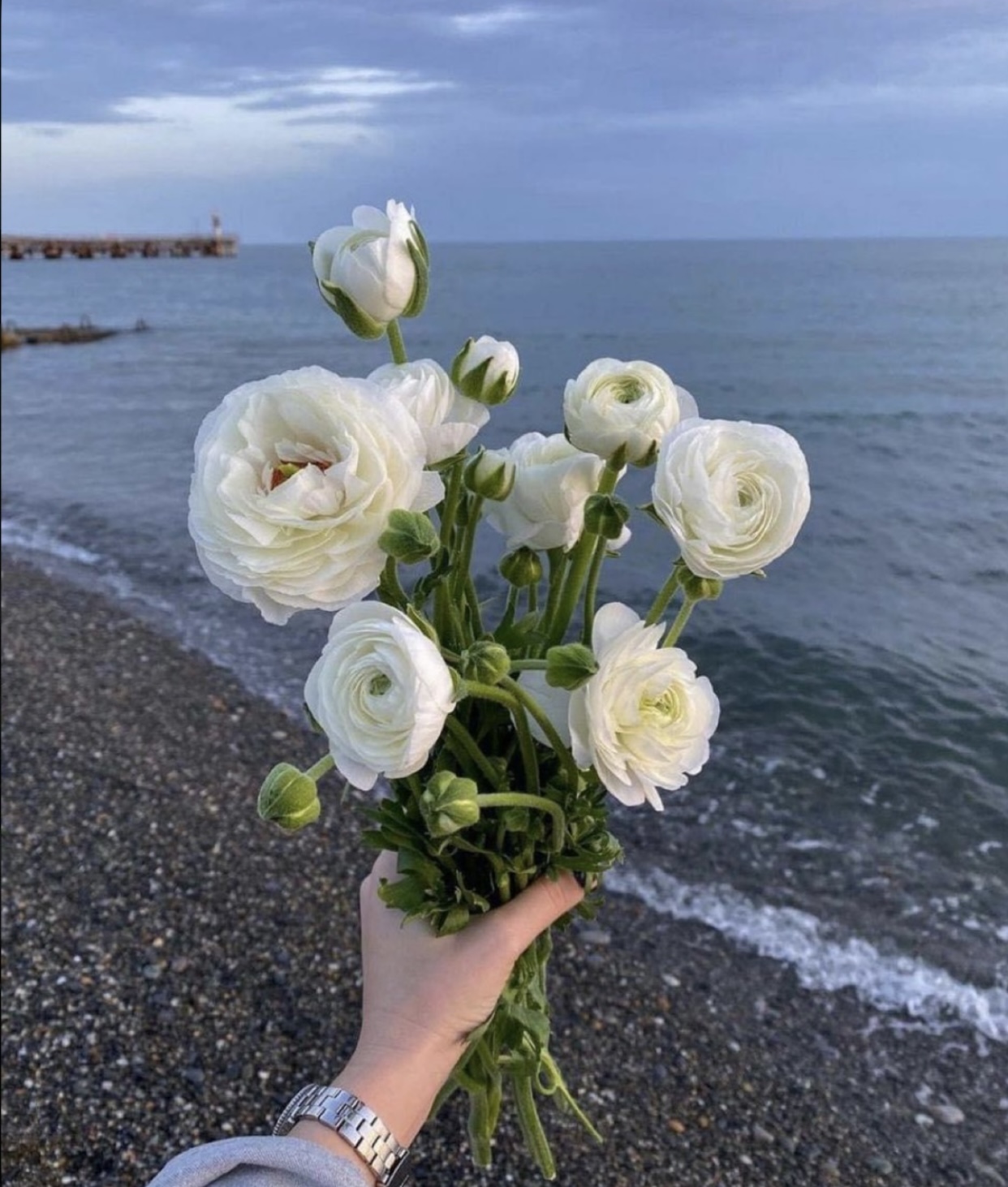 BẠN THÂN VÀ CHỒNG GẠO NẤU THÀNH CƠM