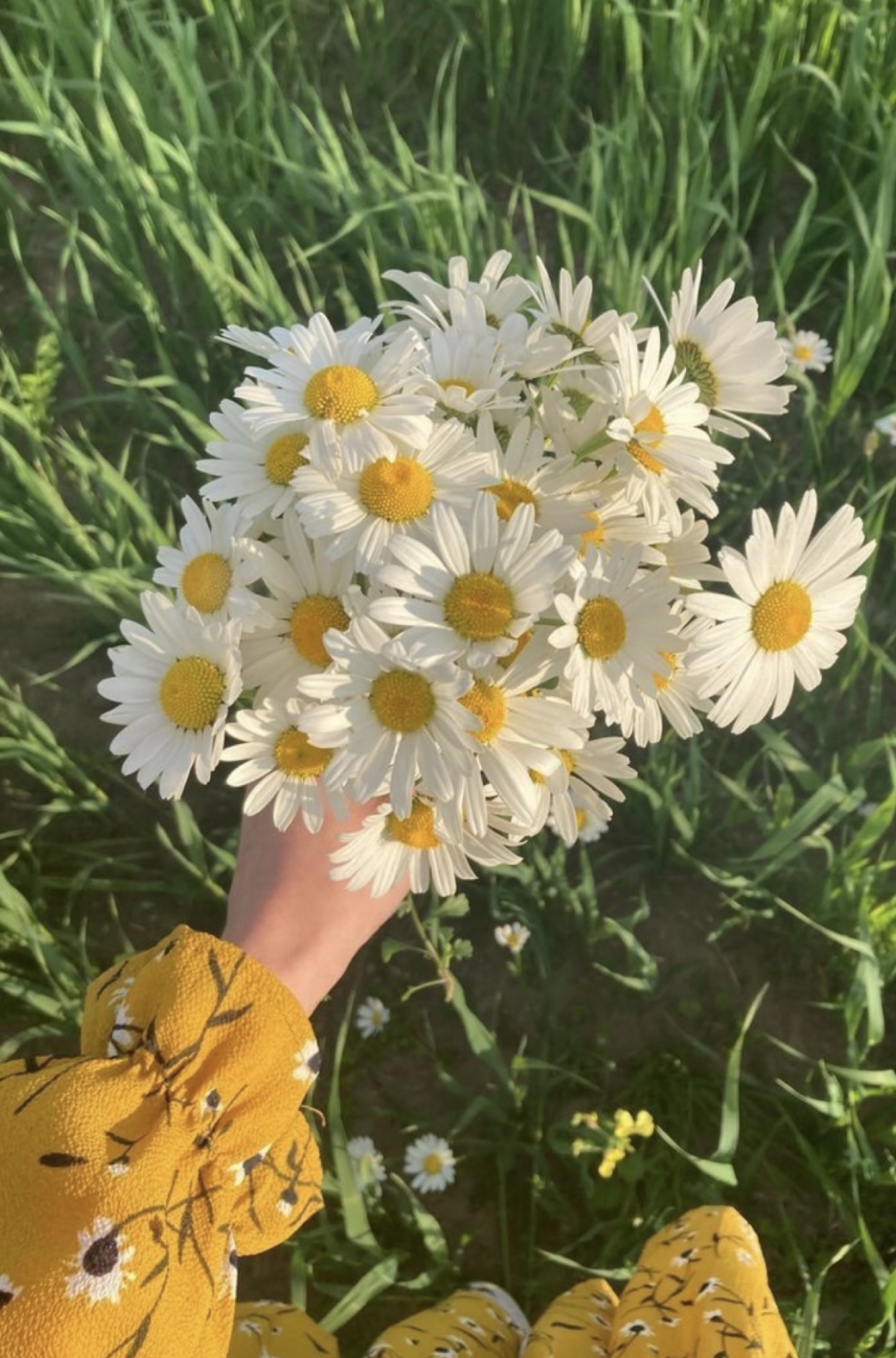 PHẦN THƯỞNG XỨNG ĐÁNG DÀNH CHO NGƯỜI THÔNG MINH