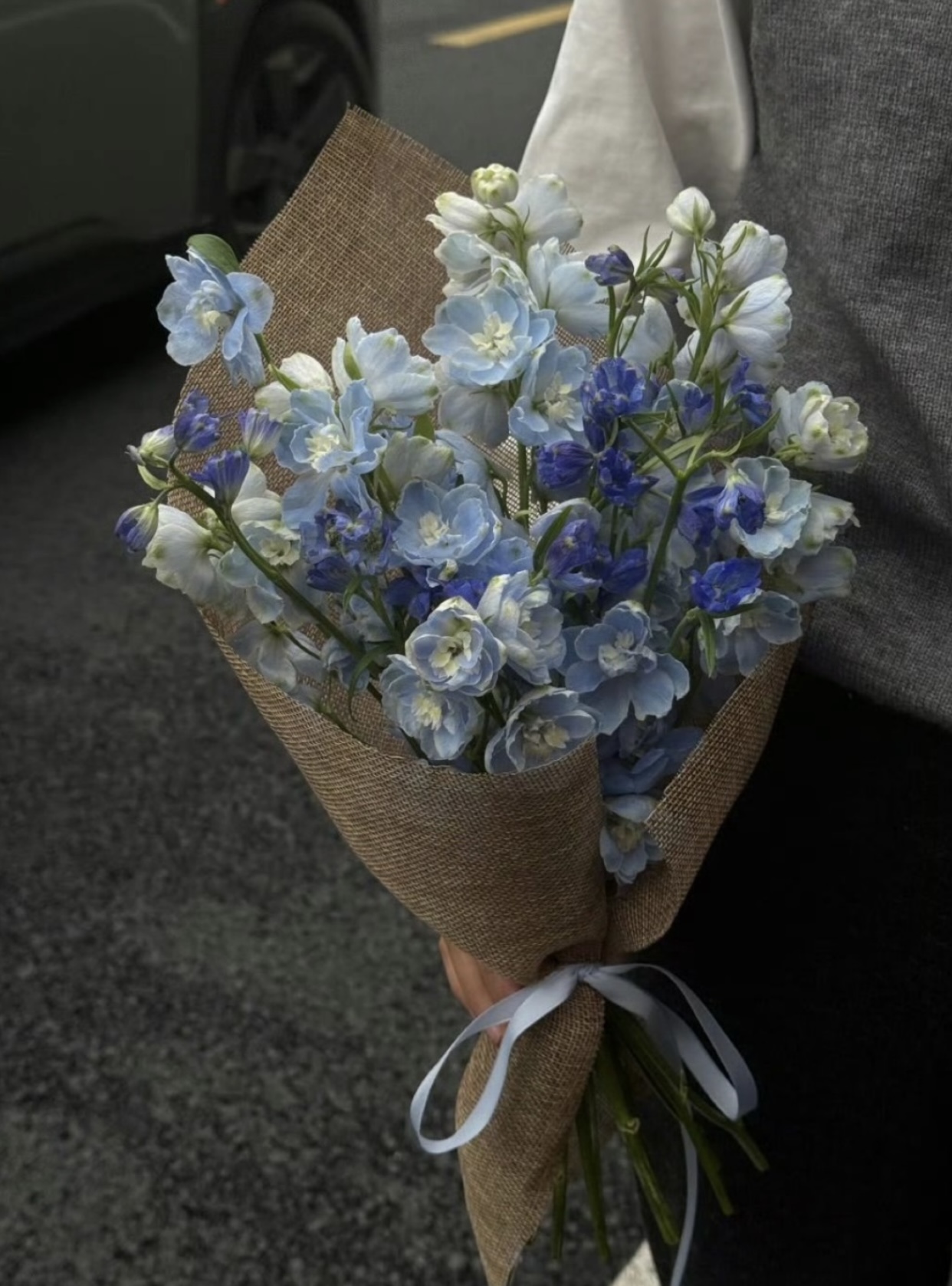 HOA NHÀI TOẢ NẮNG