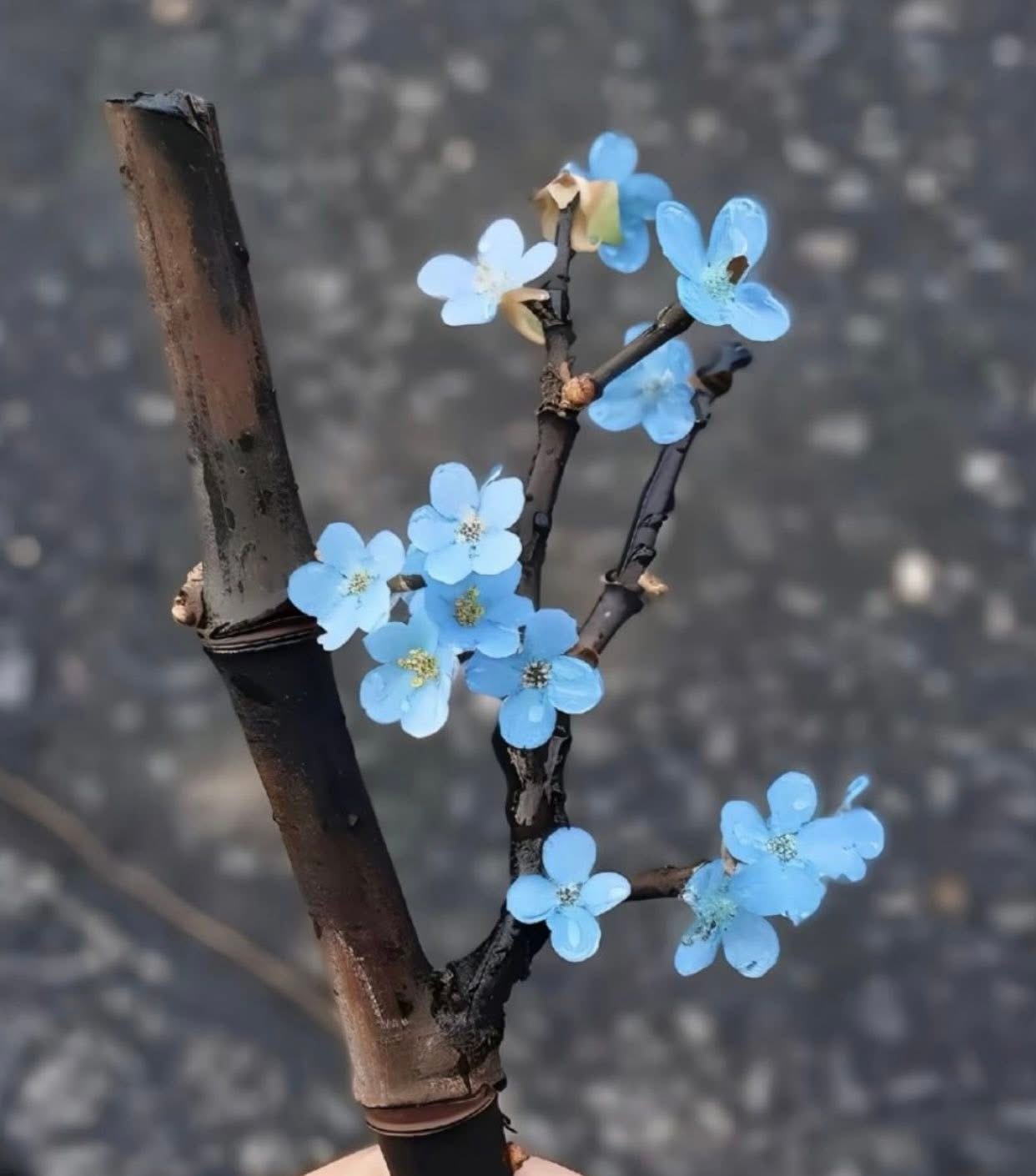 ĐẠI DƯƠNG SÂU THẲM