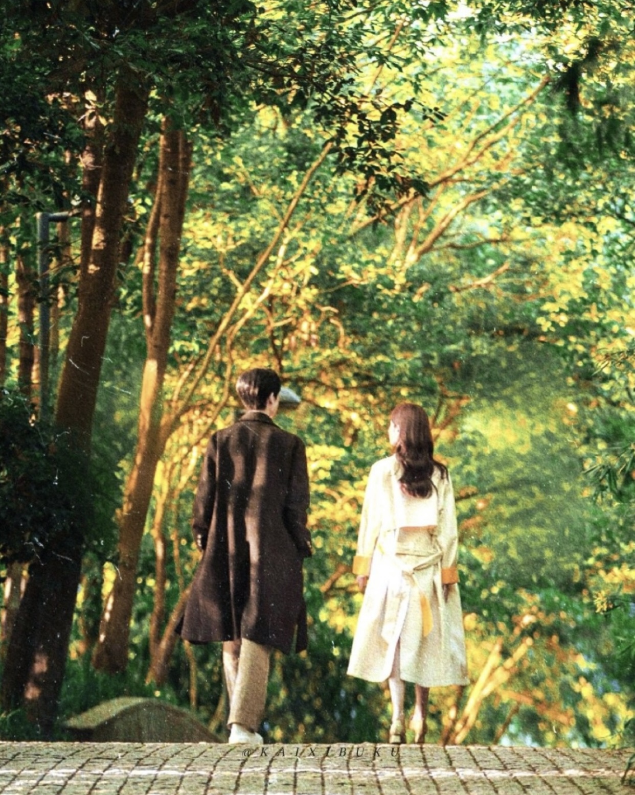 MỘT MÌNH TOẢ SÁNG