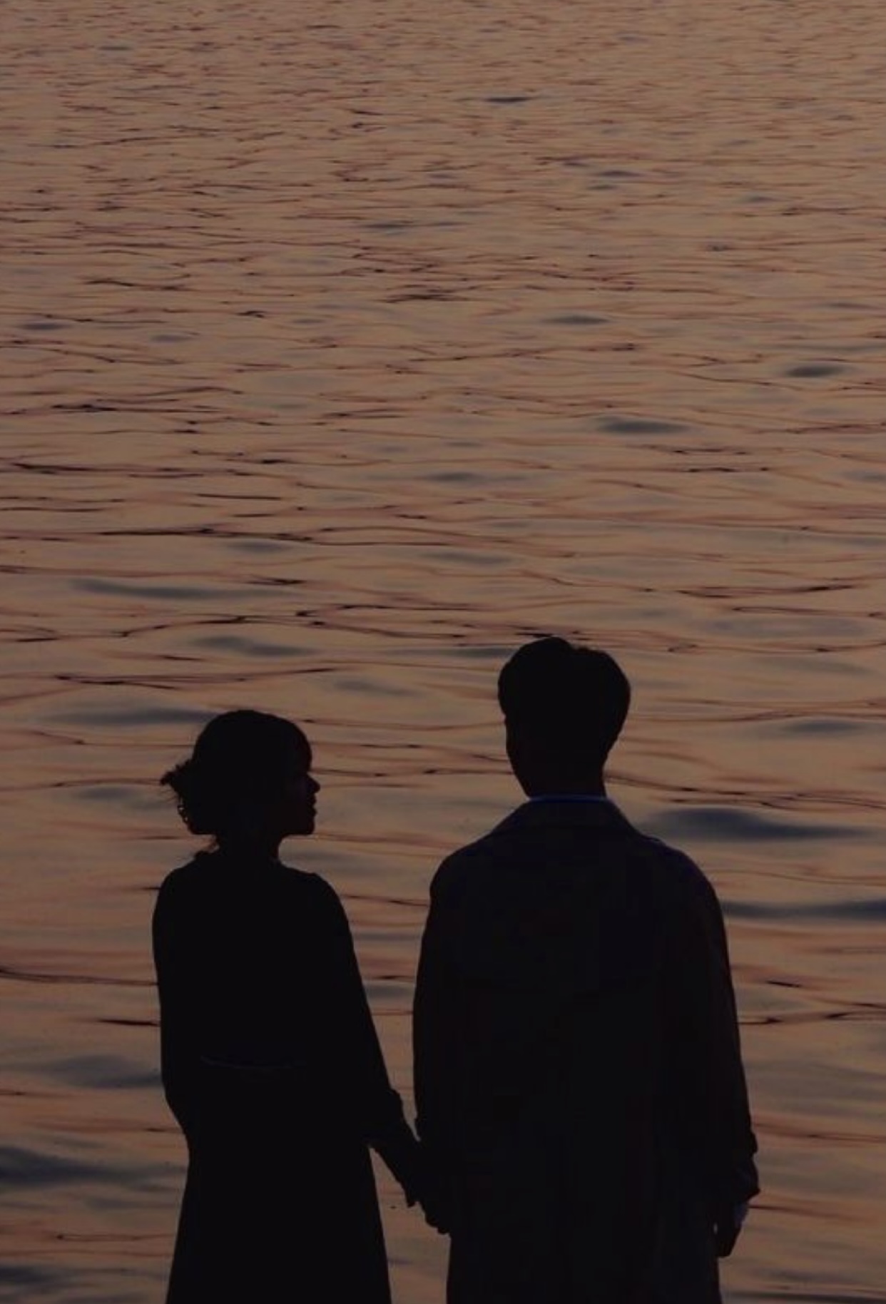 VỢ CHỒNG HỢP ĐỒNG