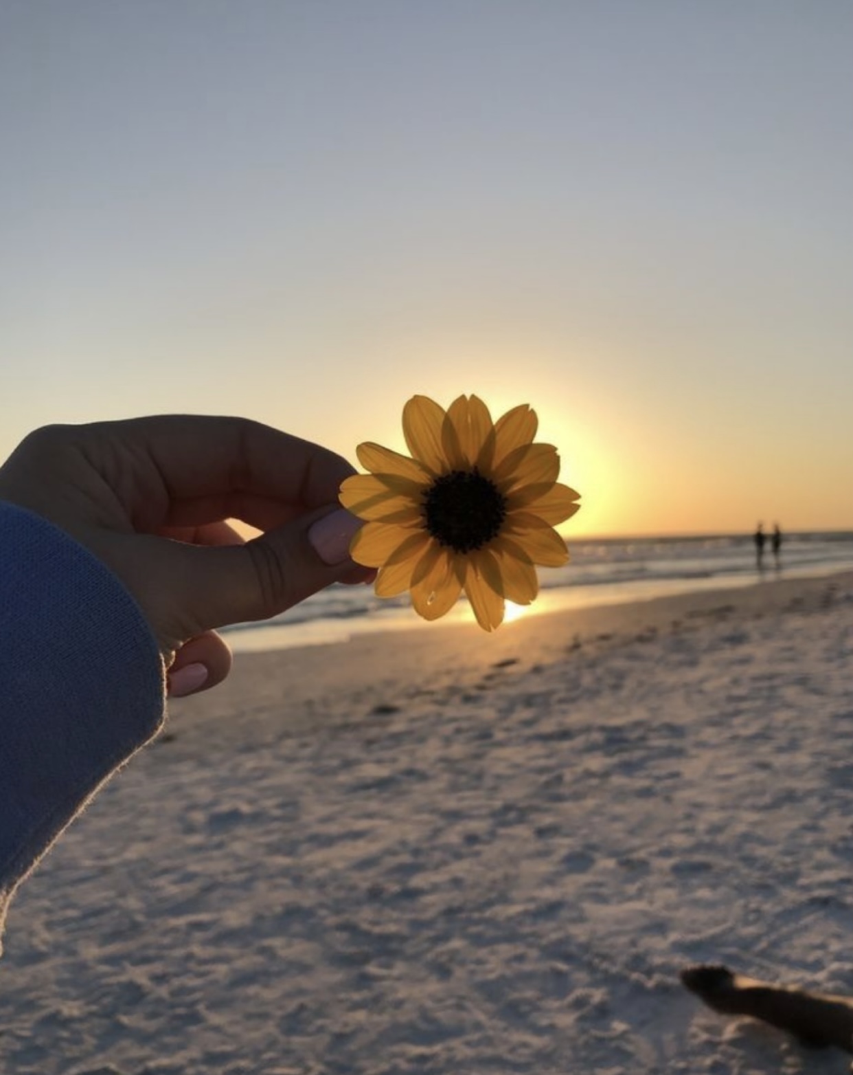 GƯƠNG VỠ THÌ KHÓ LÀNH