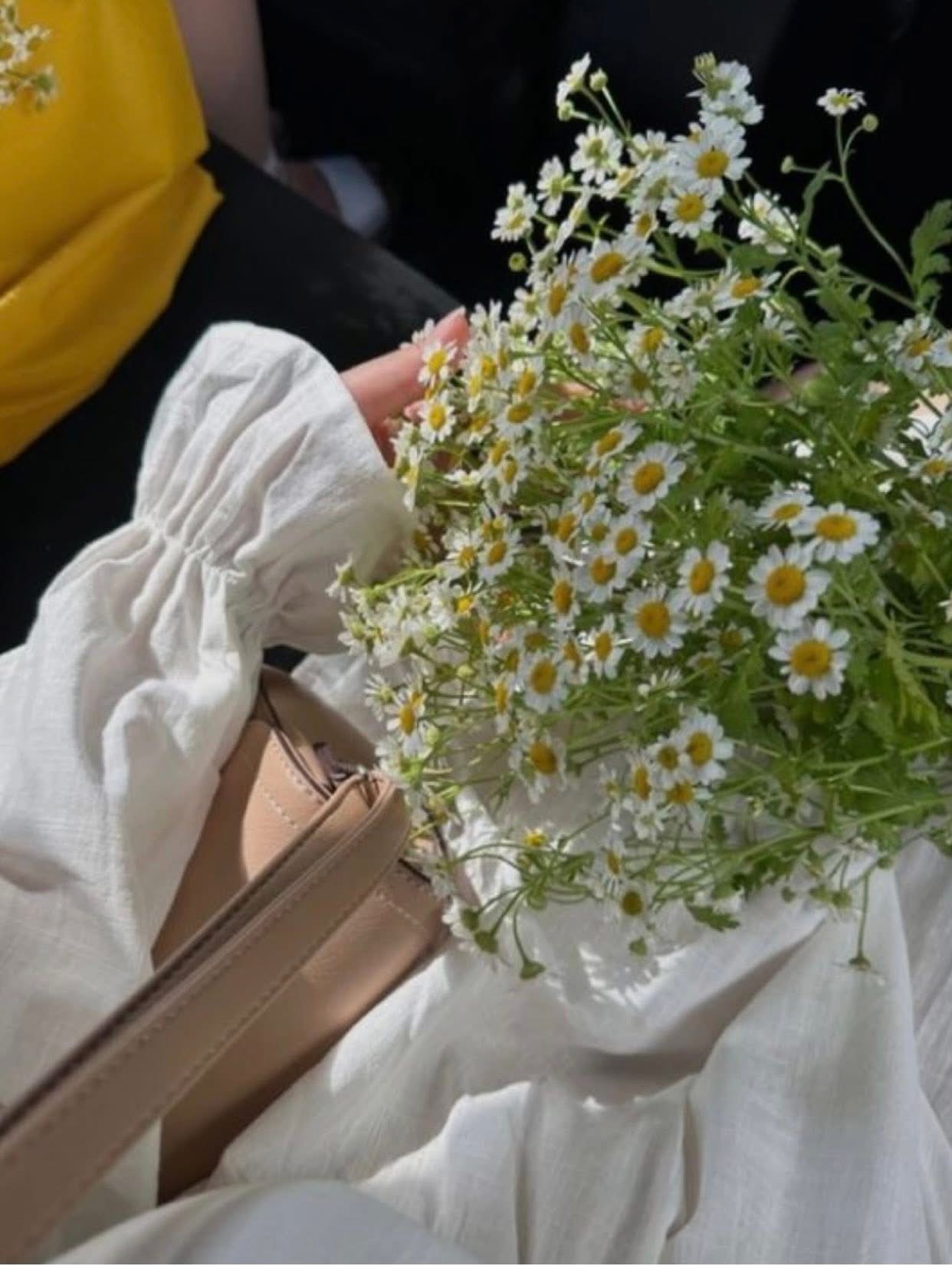 CHUYẾN DU LỊCH XUI XẺO