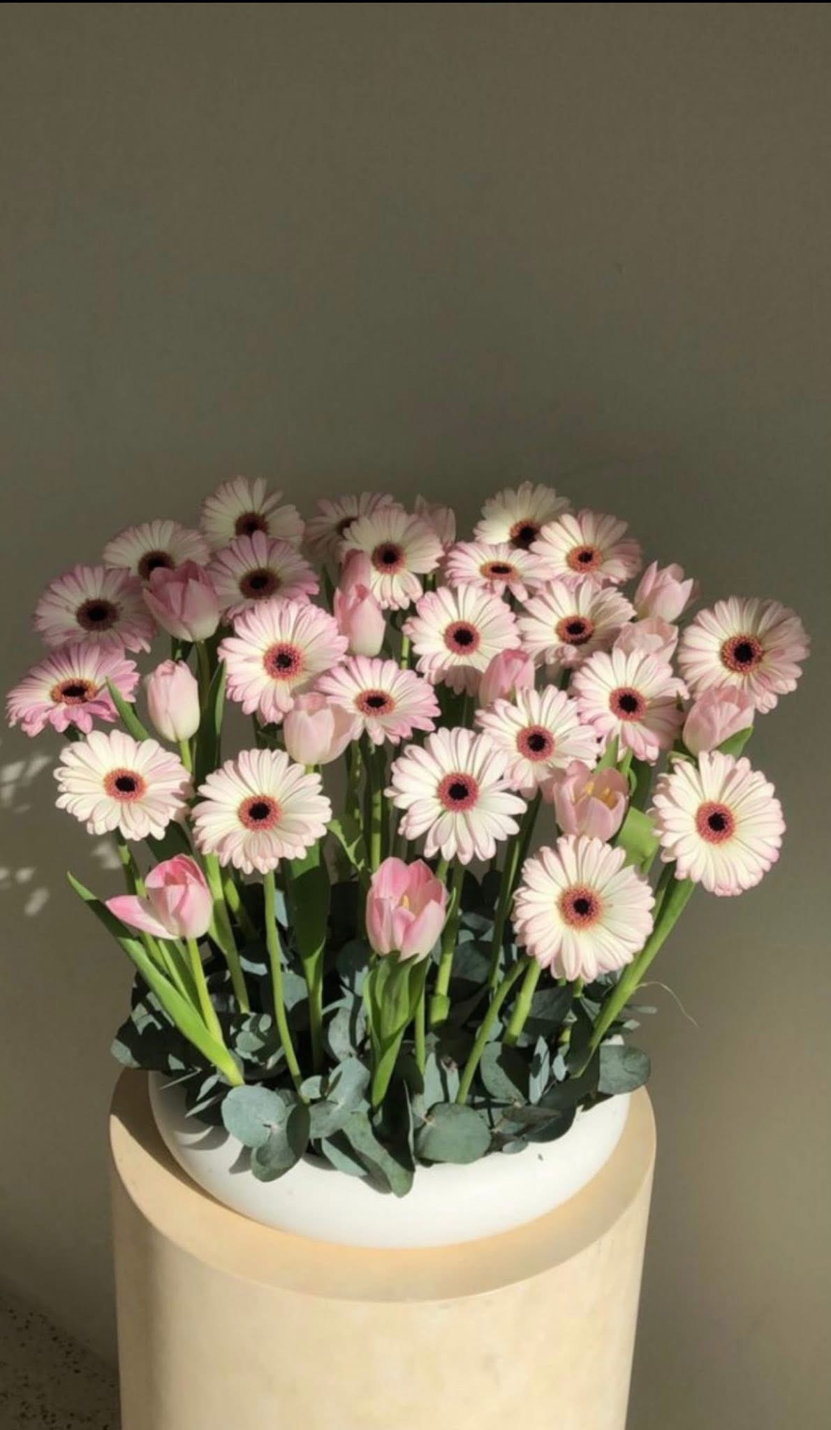 LUẬT ĐỜI NHÂN QUẢ