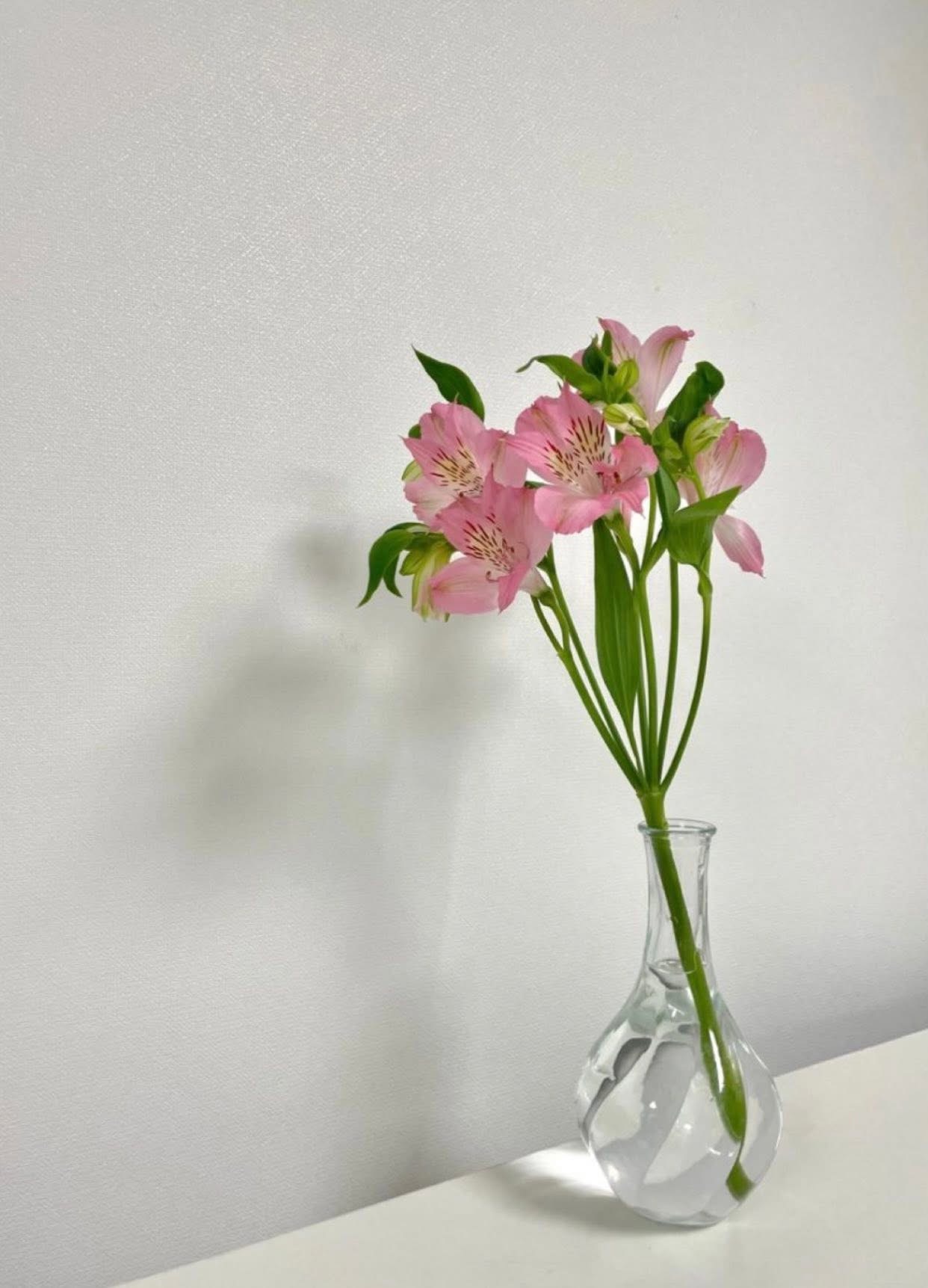 ĐI NGANG QUA ĐỜI ANH