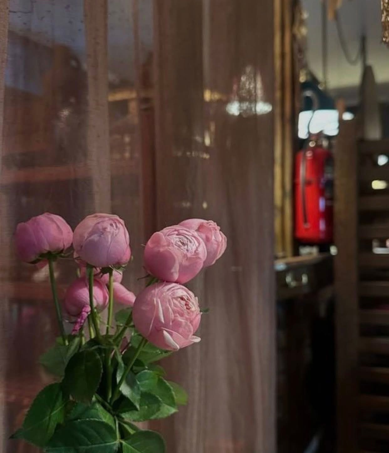 TÔI LÀ NGƯỜI MÊ NGOẠI HÌNH