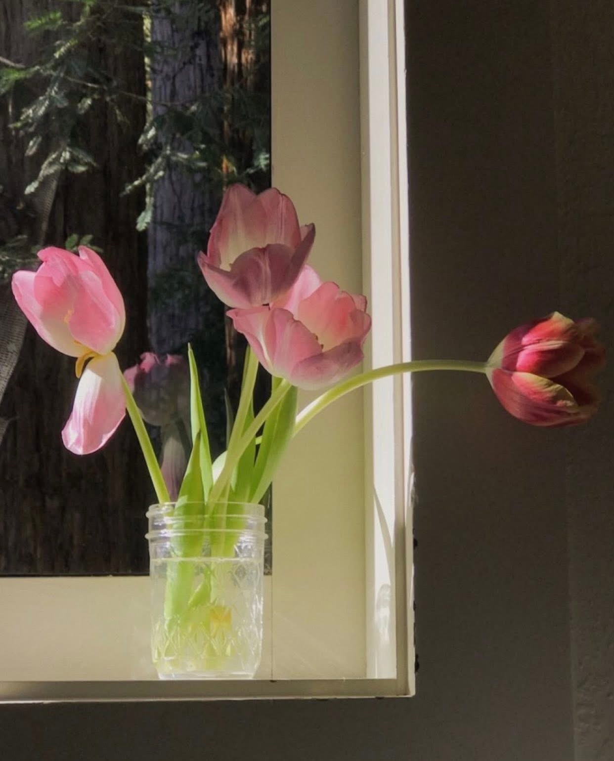 CẢ BẦU TRỜI SAO VÔ TẬN