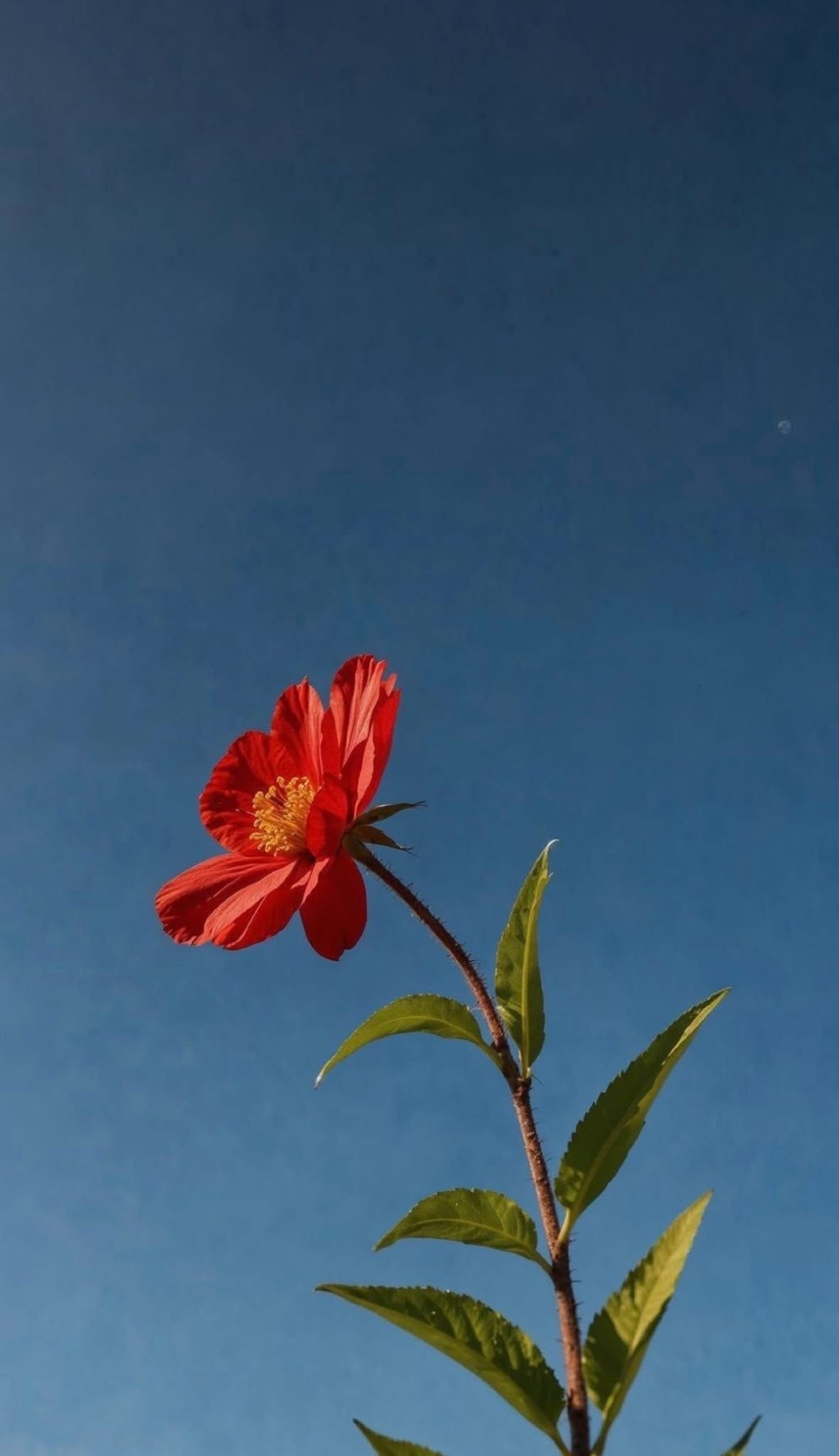 CÔNG LƯỢC NAM CHÍNH