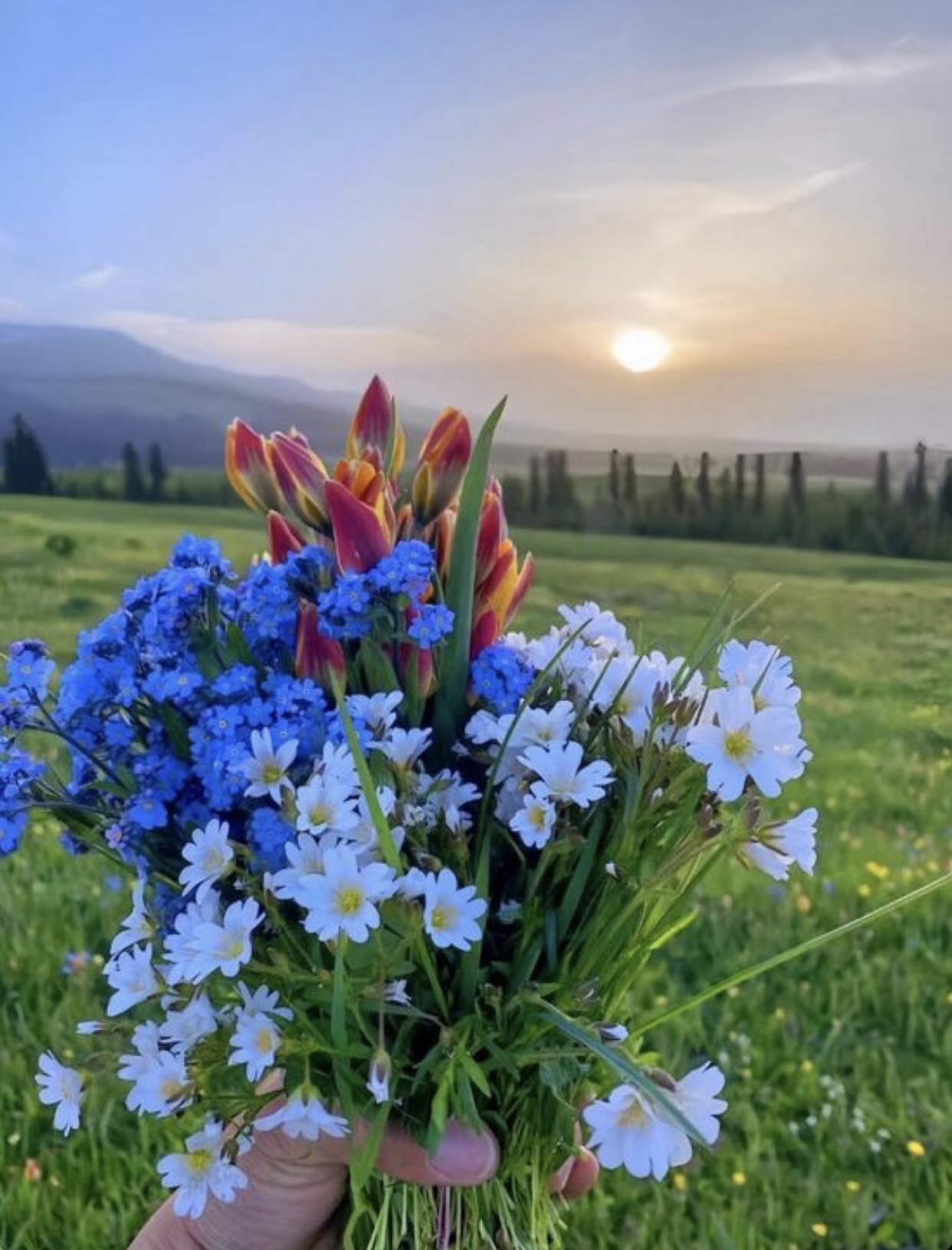 KẾT HÔN VỚI PHẢN DIỆN