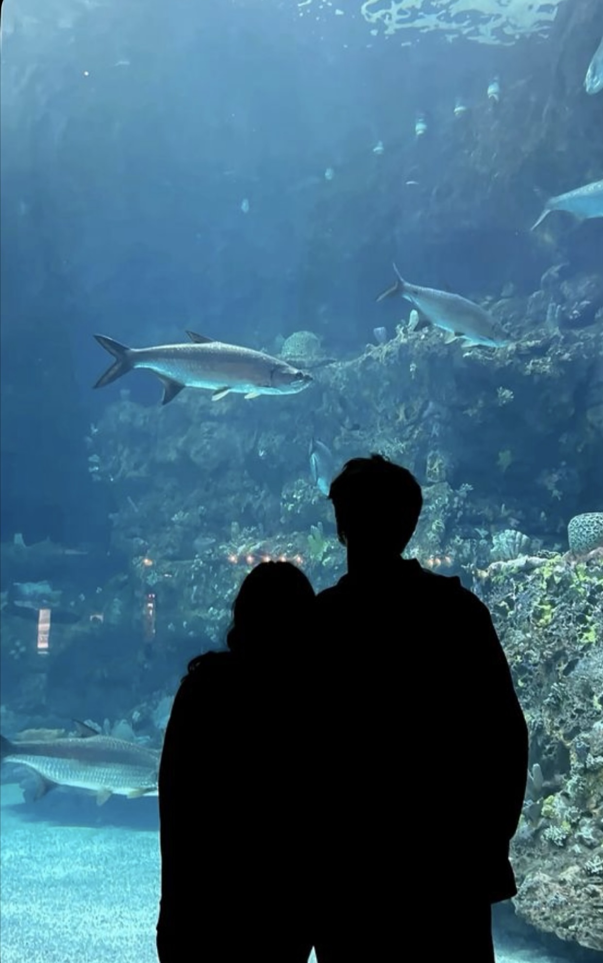 RỜI XA CỐ HÀNH VÂN