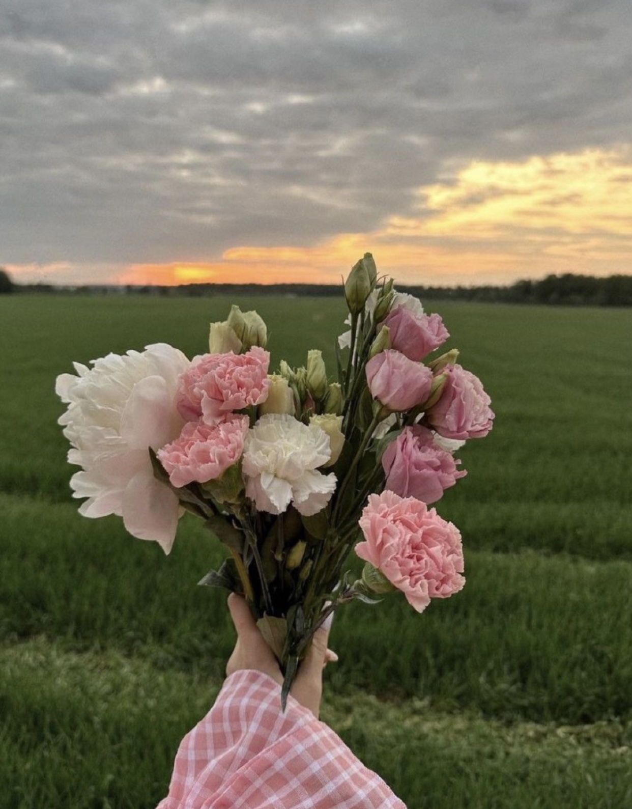 CÁI BẪY NGỌT NGÀO